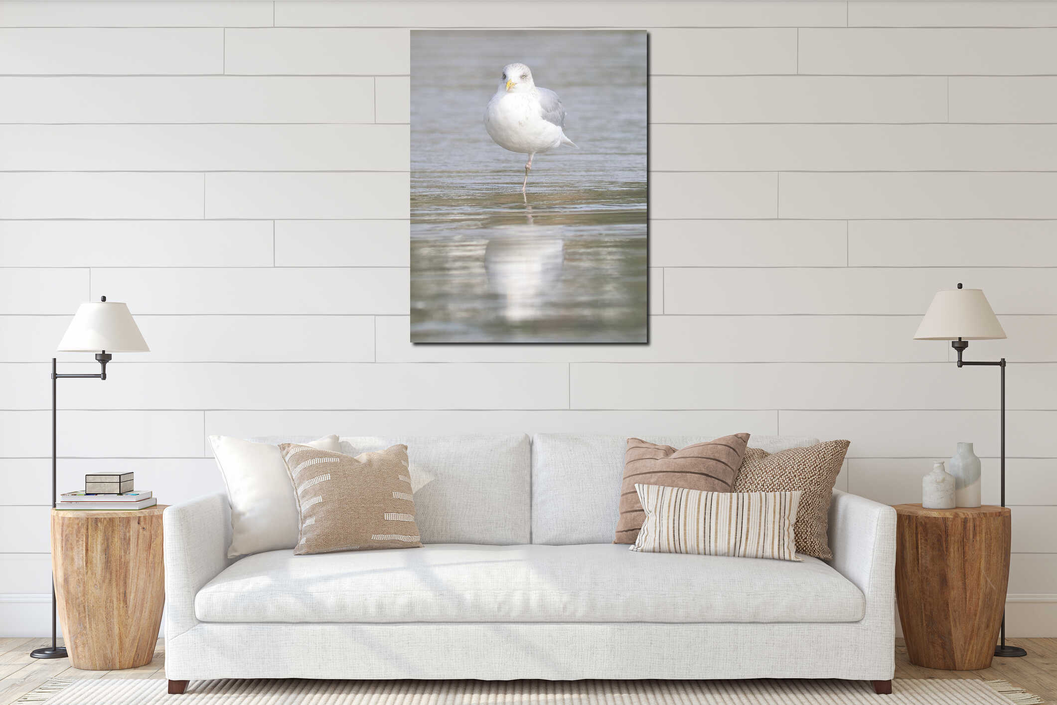 Seagull standing on one leg interior mockup