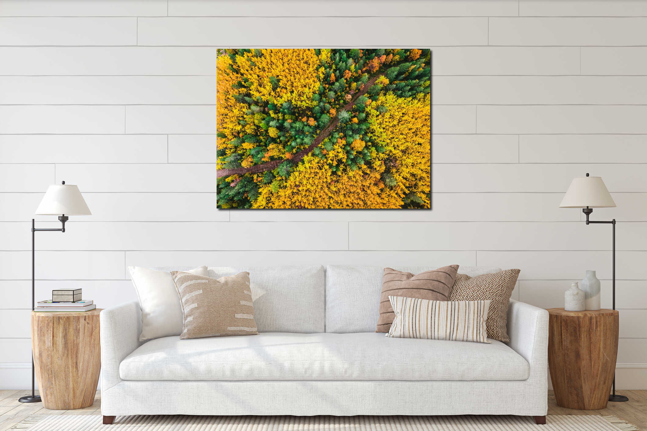 Aerial top view beautiful autumn forest with yellow and red trees interior mockup