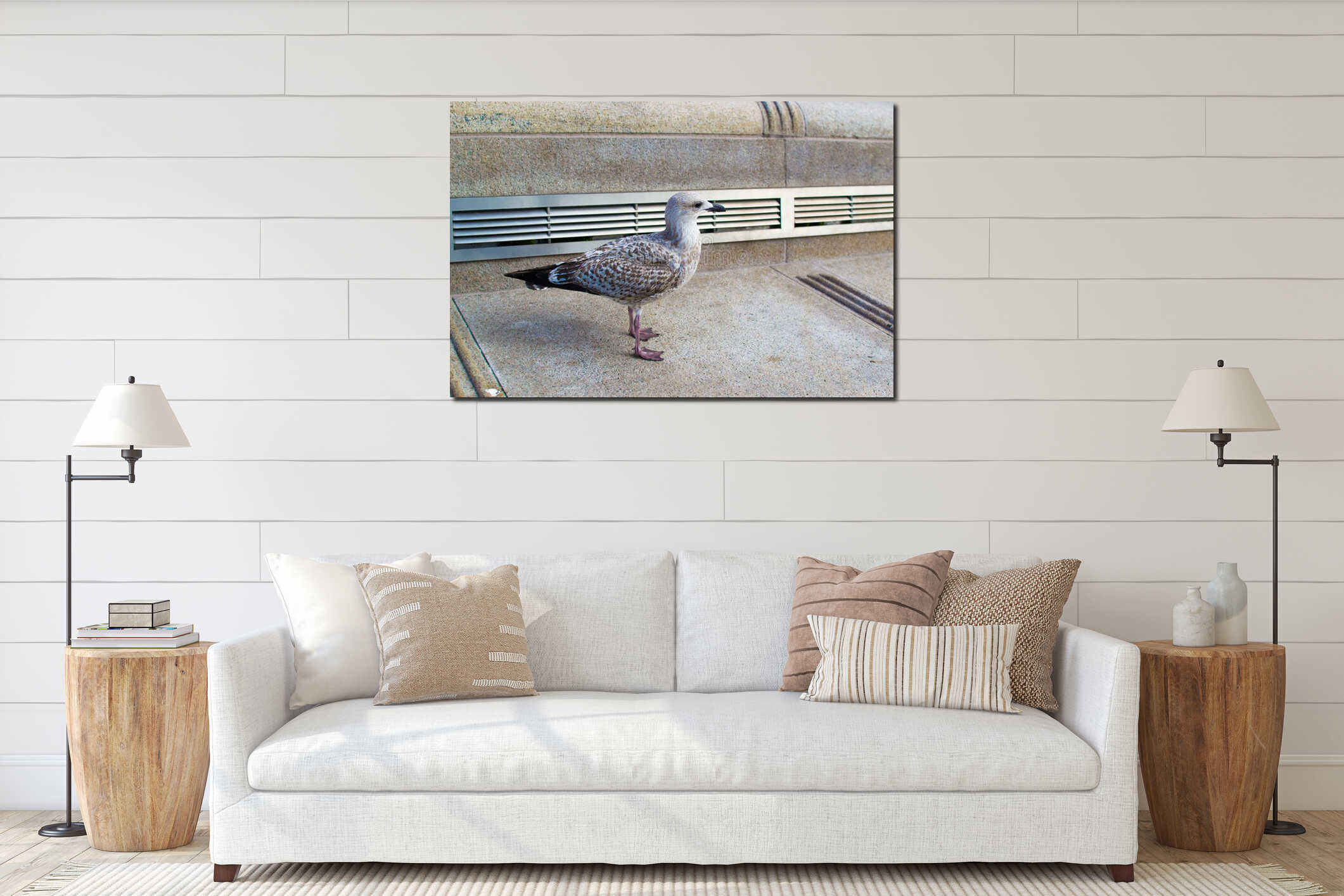 Close up of a grey seagull in the waterfront Pier Head of Liverpool, England UK interior mockup
