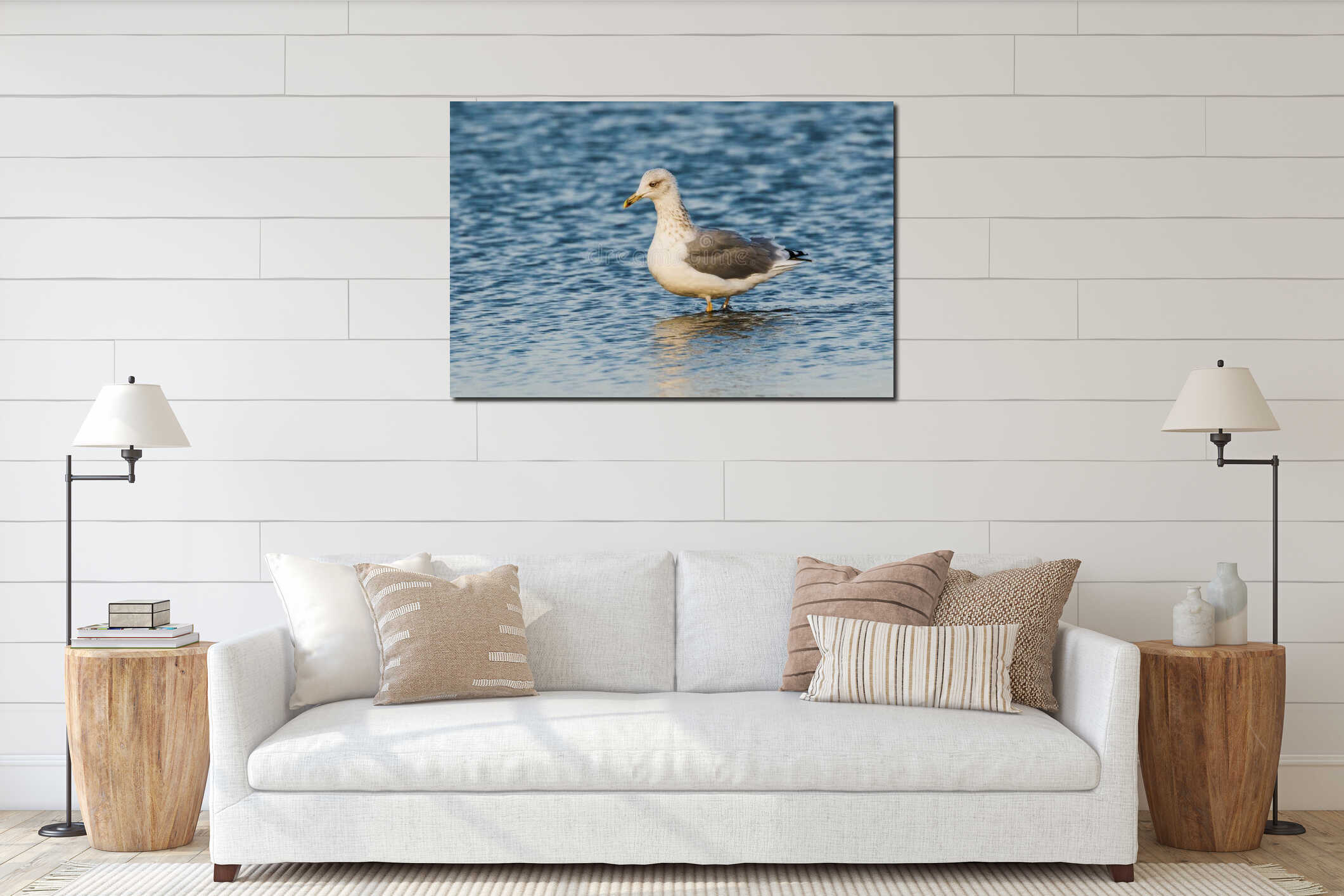 Single seagull standing in the water interior mockup