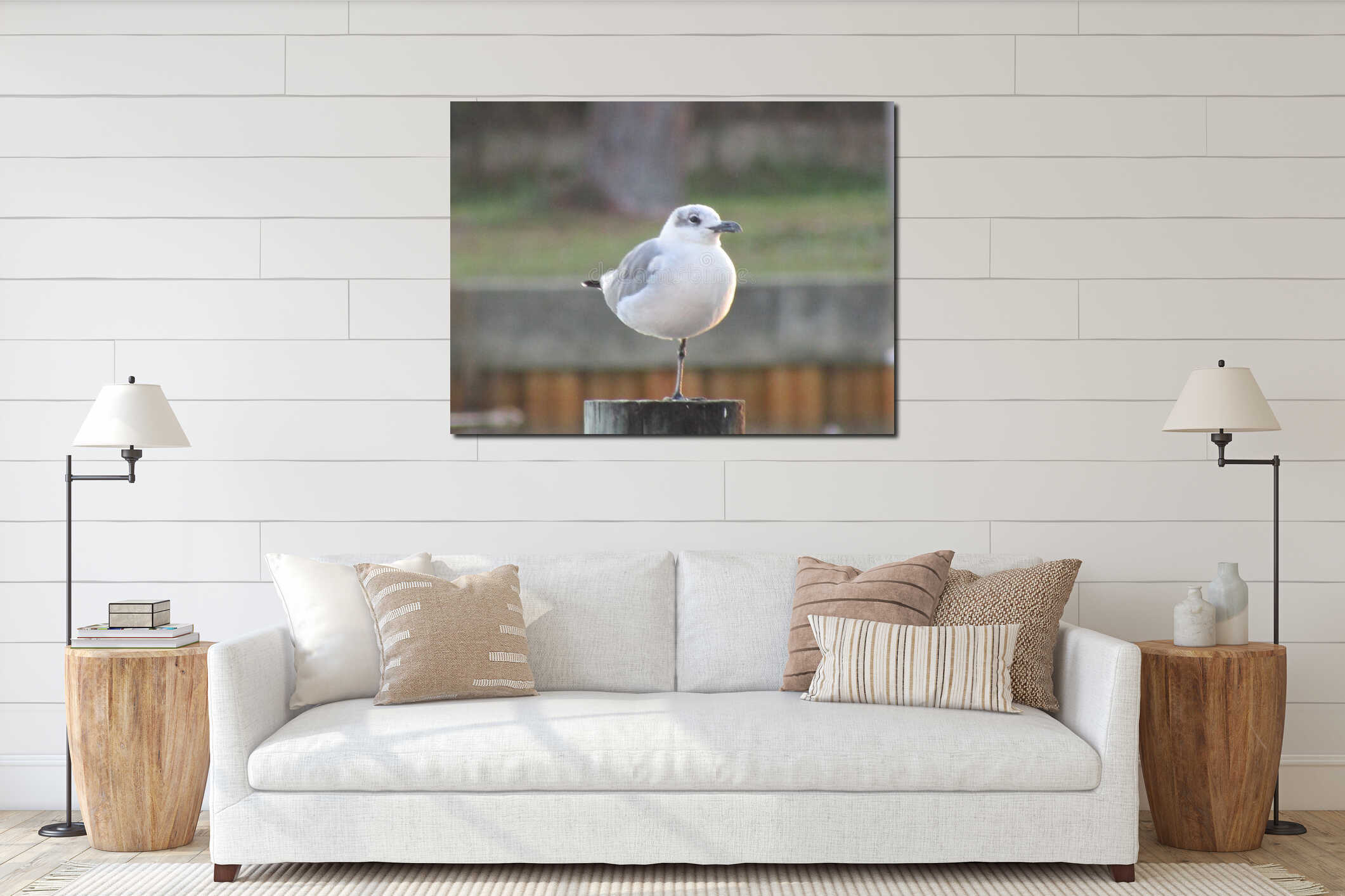 Seagull standing on one leg interior mockup