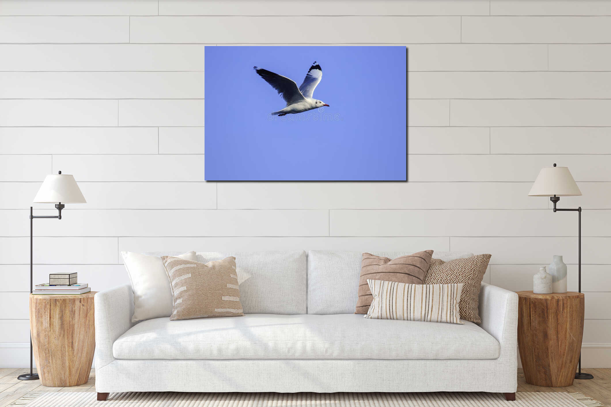 Seagulls flying in the sky, spread their wings beautifully interior mockup