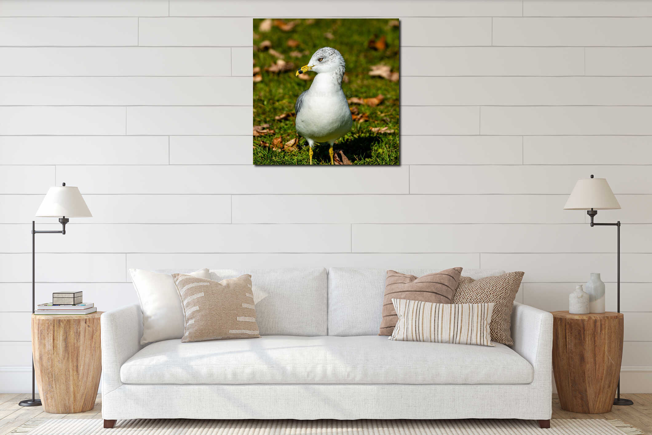 Seagull staying on the grass interior mockup