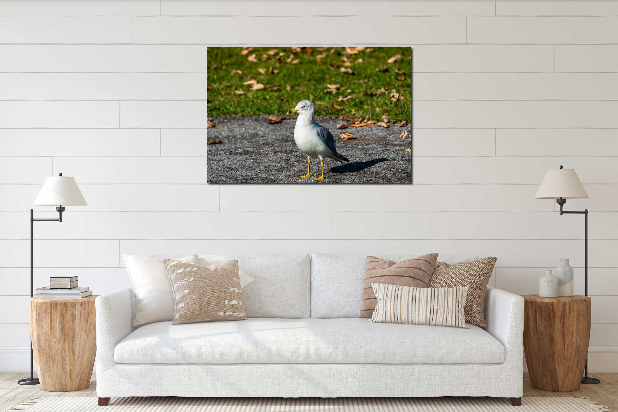 Seagull staying on the grass interior mockup