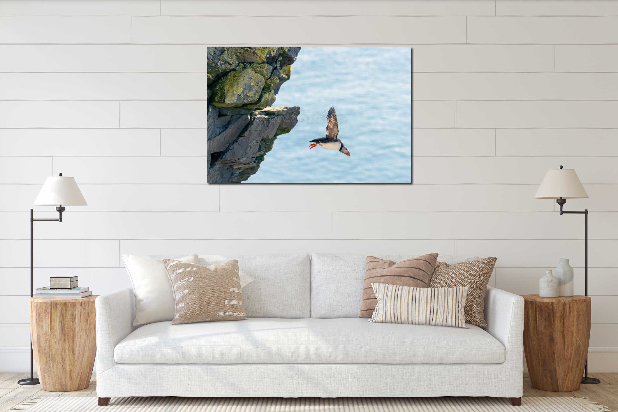 A puffin in flight from latrabjarg bird cliffs in the western part of iceland. interior mockup