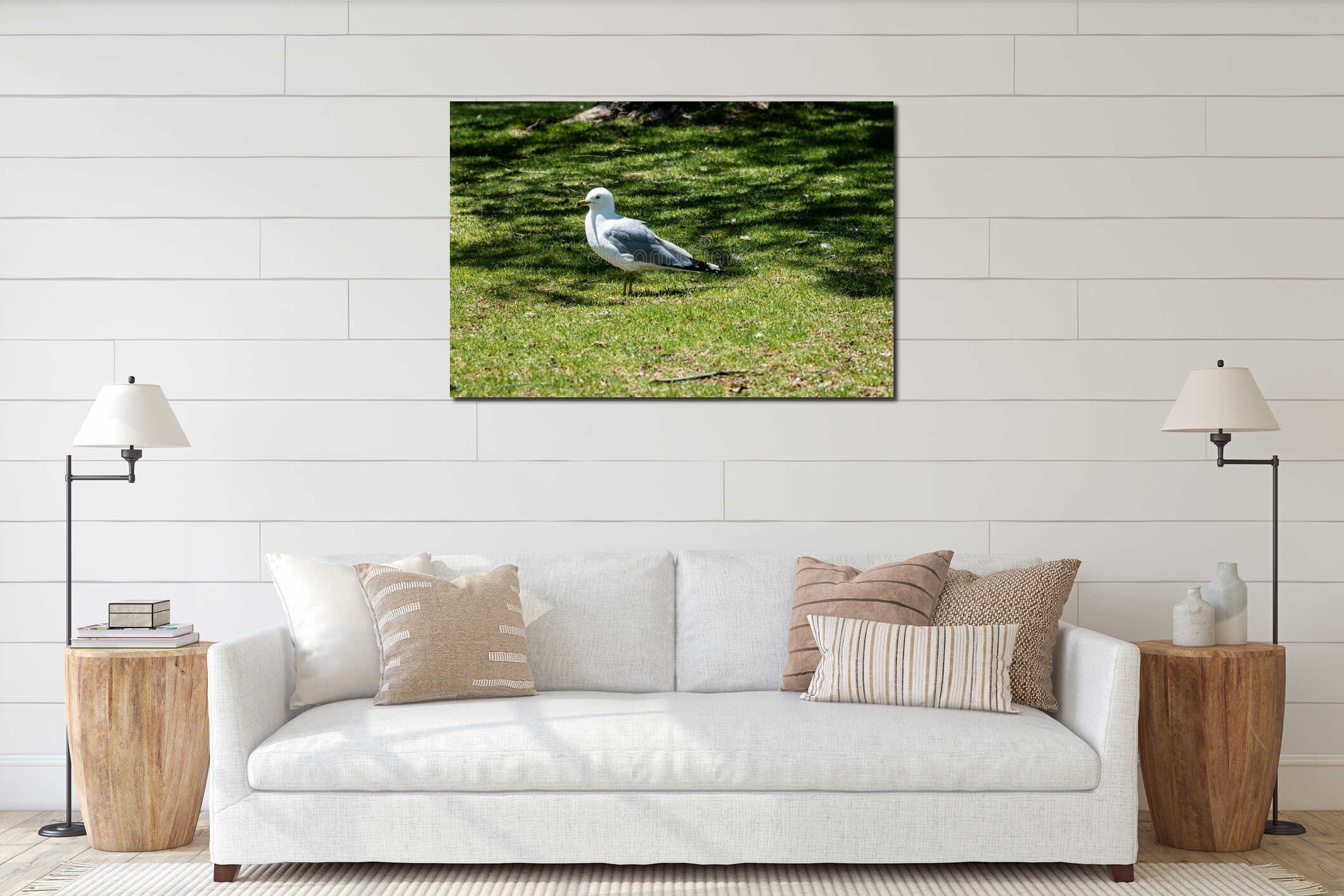Seagull staying on the grass in the shadow interior mockup