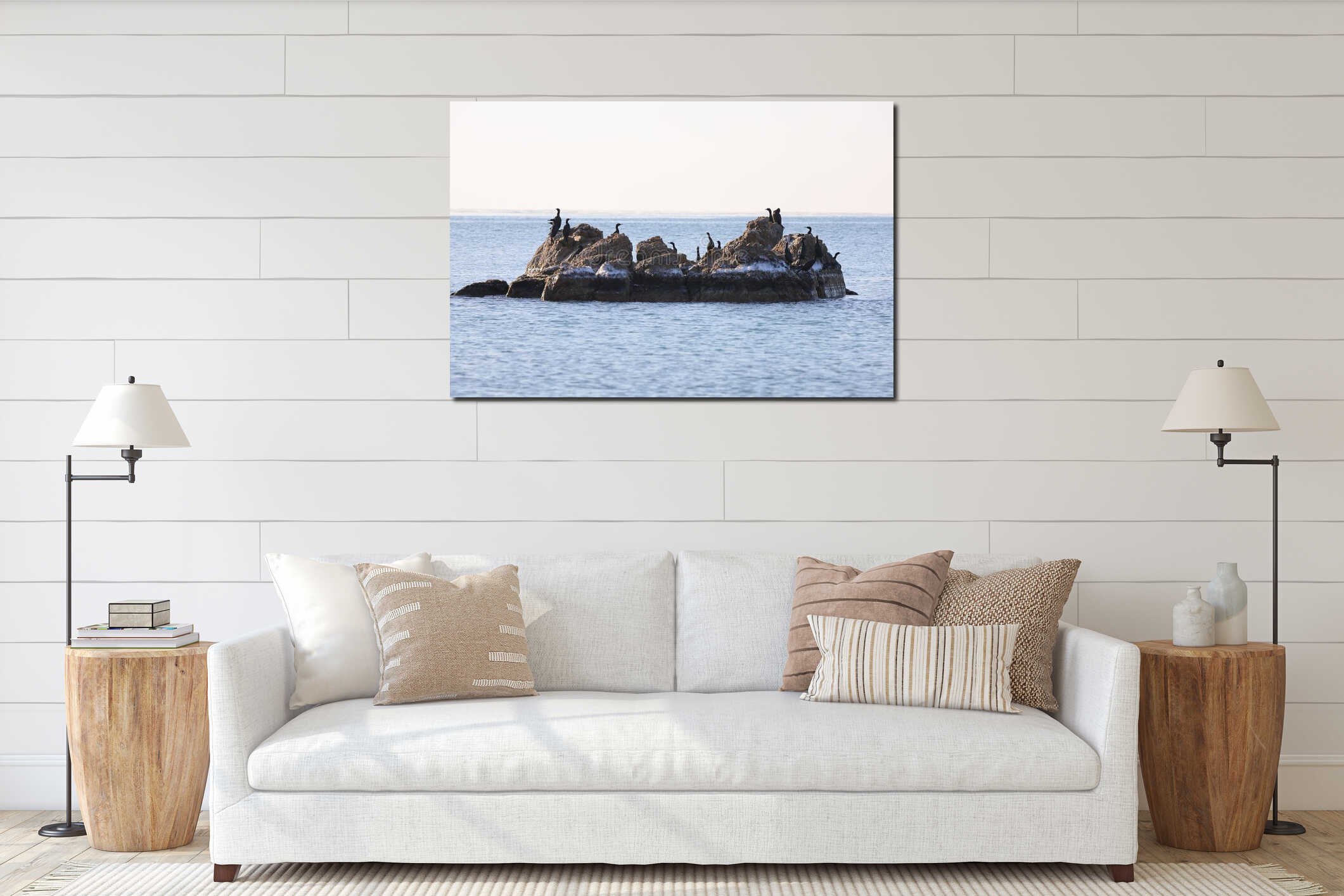 Cormorants sitting on the rocky island in sea. Seabirds in nature. Sunny sunrise light, calm blue sea, cold autumn weather. interior mockup