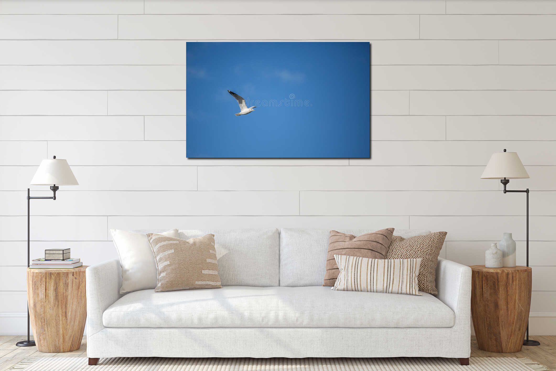Flying seagull Larus with a white head and white body and black tipped wings. interior mockup