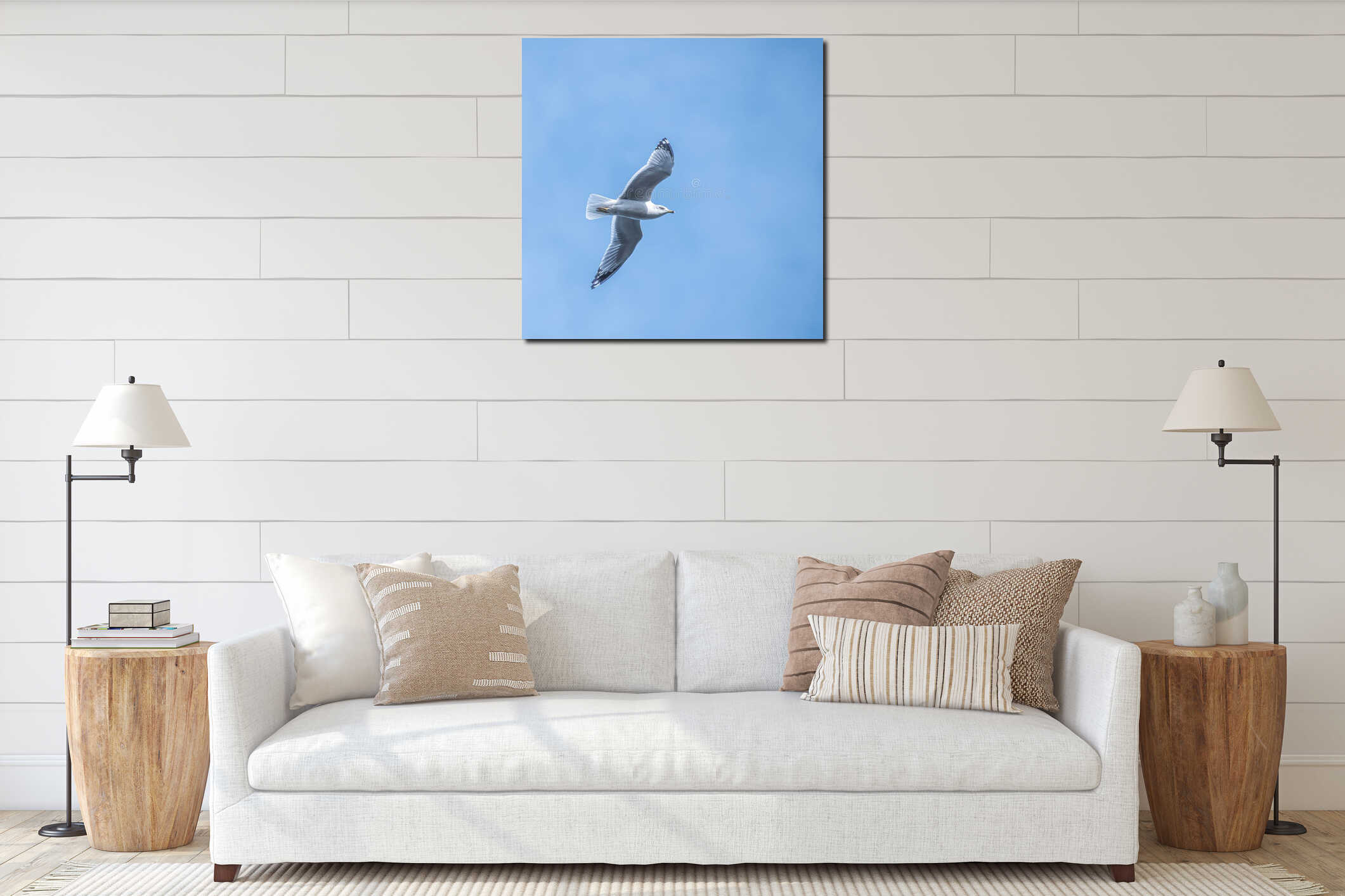 Portrait of a Ring Billed Seagull in Flight interior mockup