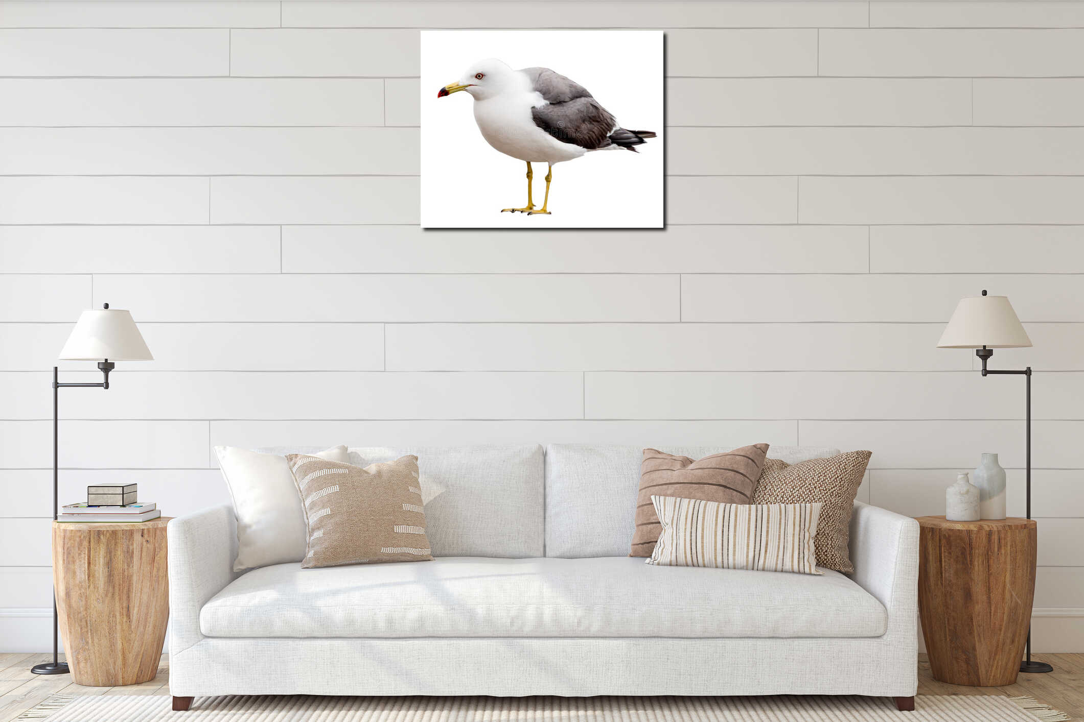 Seagull bird. Close-up view. Isolated on white interior mockup