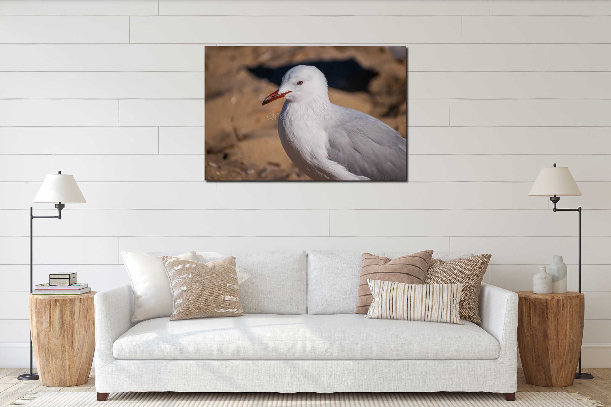 Australian seagull staying on a beach during bushfire interior mockup