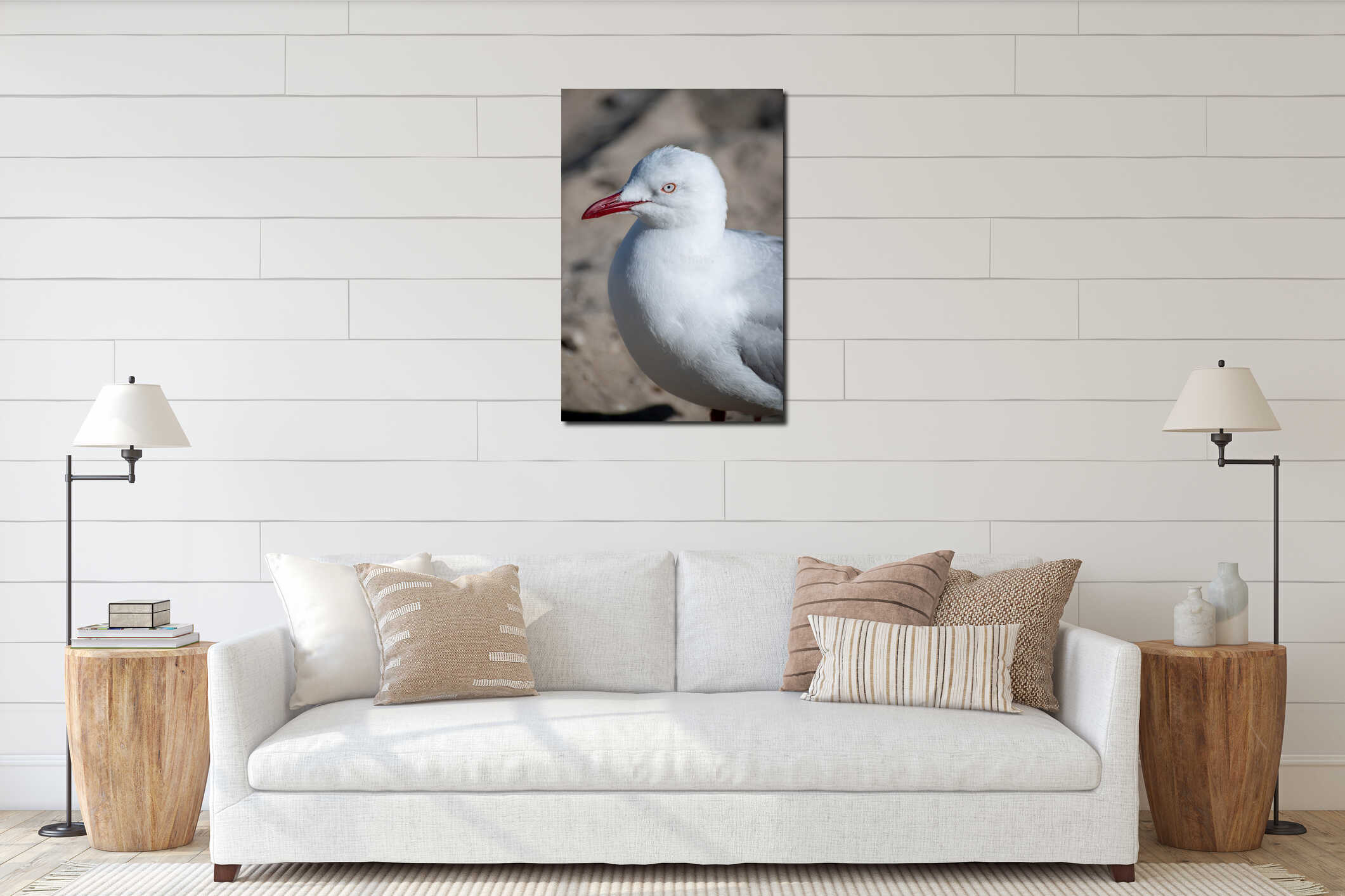 Australian seagull staying on a beach during bushfire interior mockup