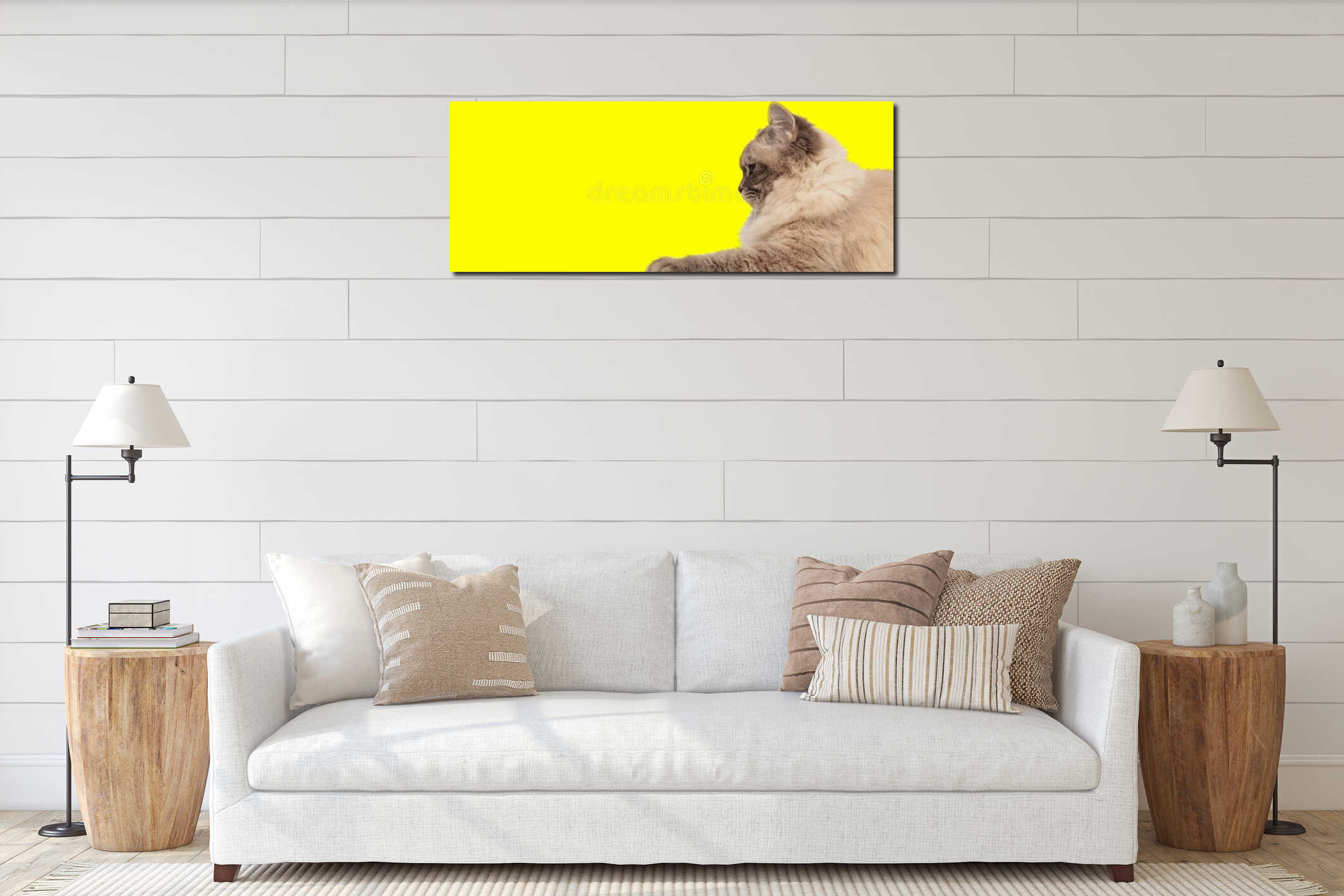 Beautiful metis cat with gray fur lying down interior mockup