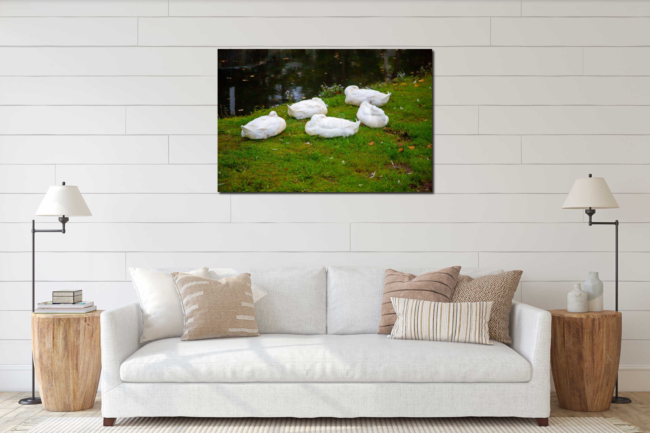 A gaggle of geese asleep on grass next to pond interior mockup