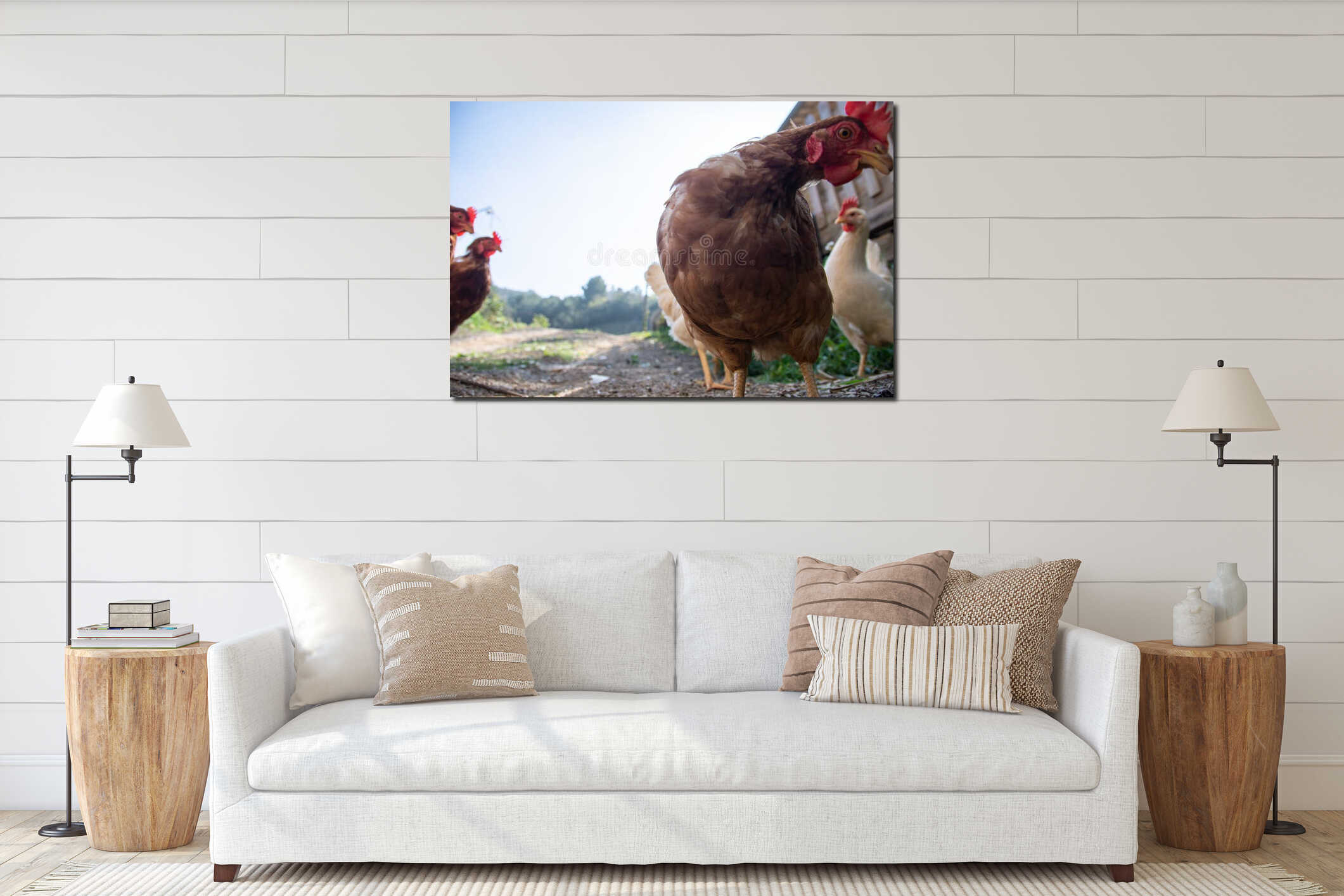 Hens raised in freedom and fed with organic food interior mockup