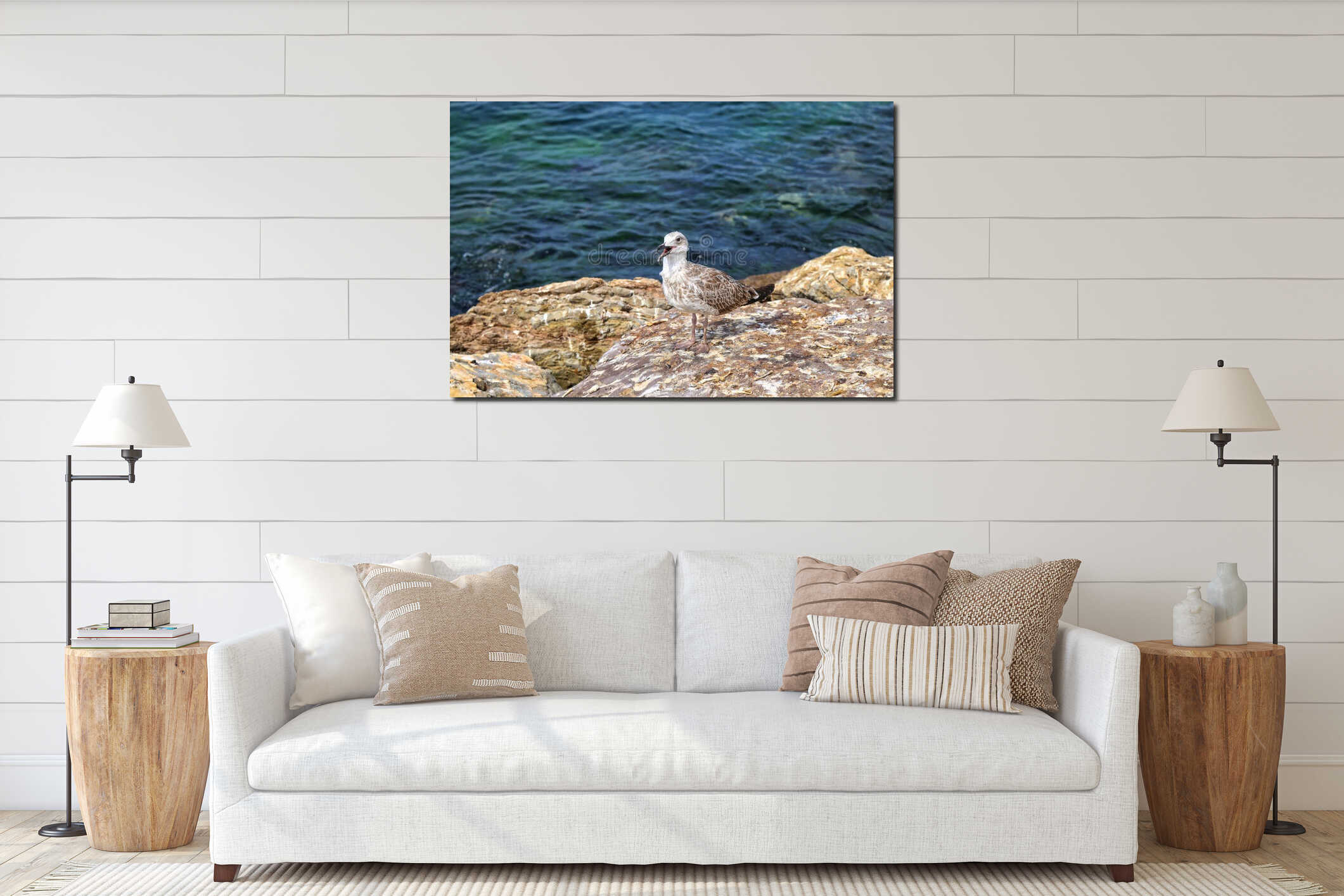 A cute young seagull stands on the rocky. interior mockup