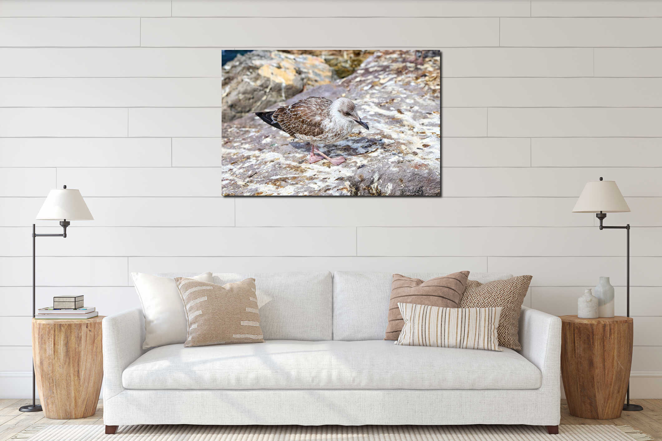 A cute young seagull stands on the rocky. interior mockup