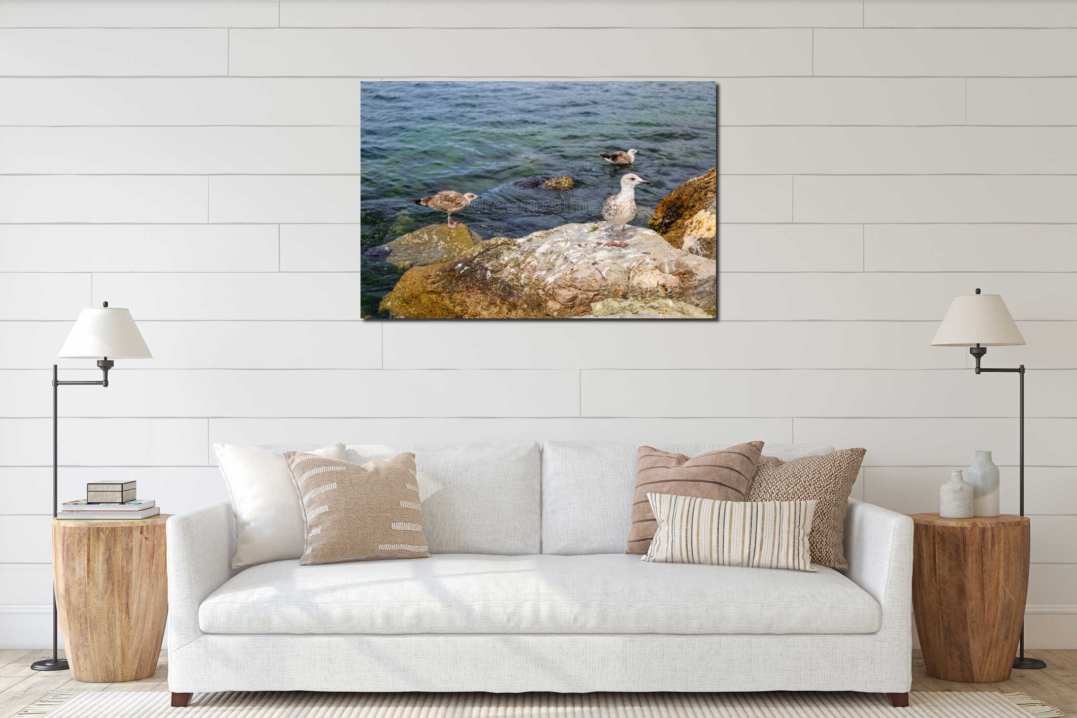 A cute young seagull stands on the rocky. interior mockup