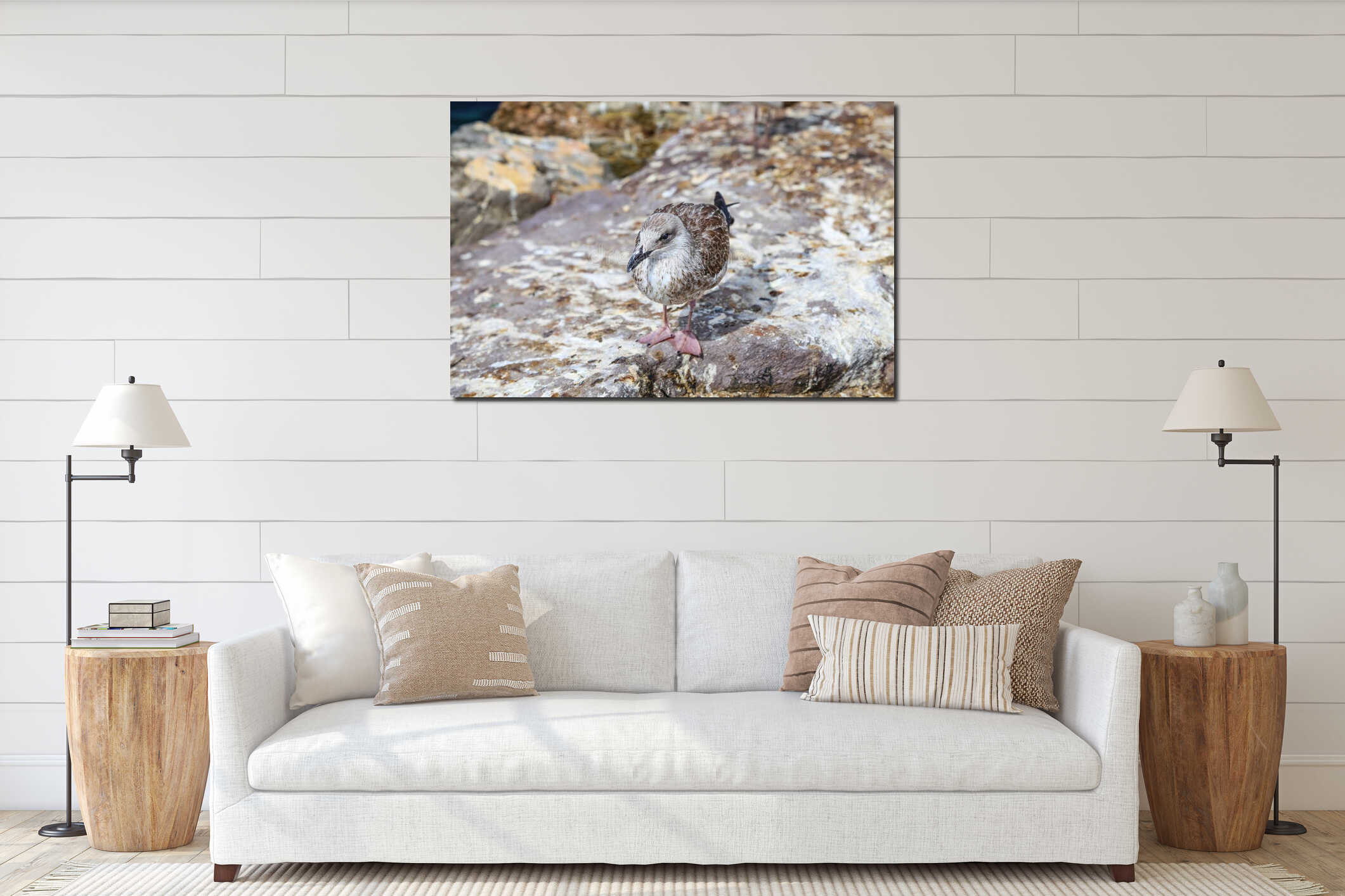 A cute young seagull stands on the rocky. interior mockup