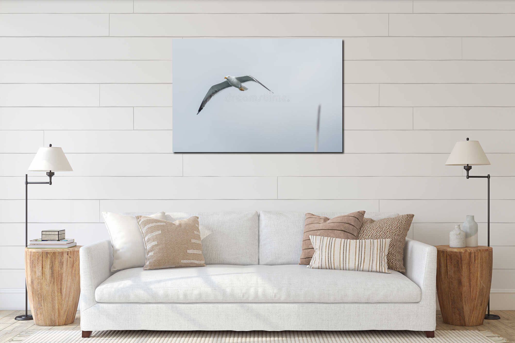 Seagull flying front view Larus argentatus interior mockup