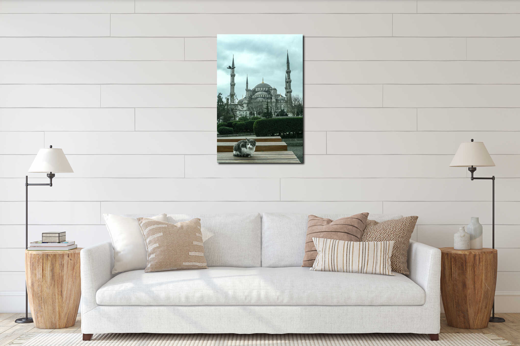 Young stray cat standing in front of the Sultanahmet Camii, also called blue mosque, in the historical center of the European side interior mockup