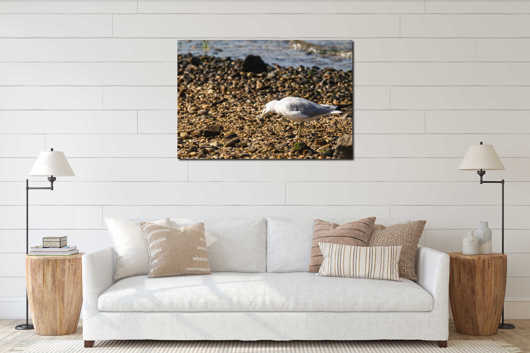Seagull with a clam in its beak on a rocky beach interior mockup