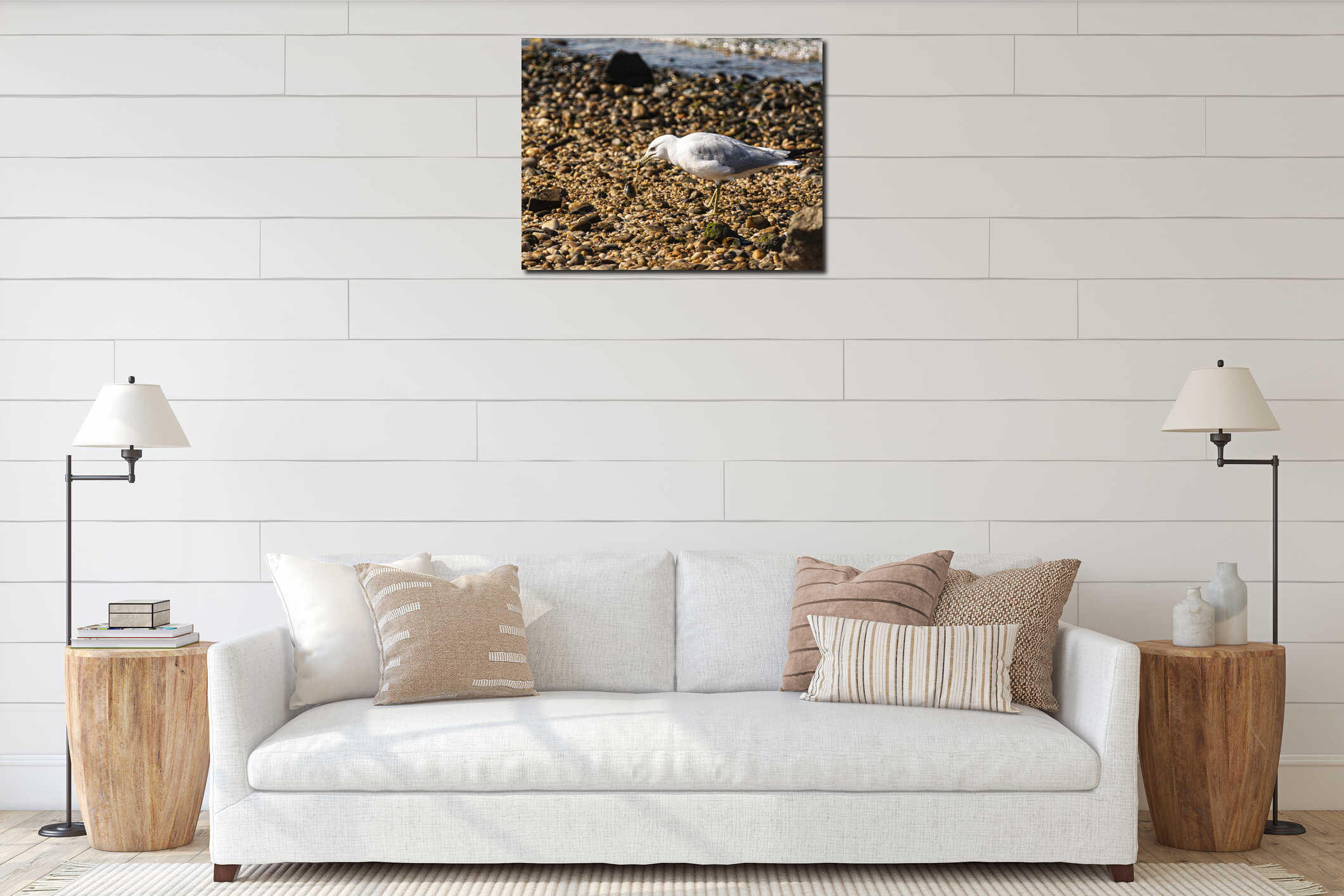 Seagull standing on rocks on a beach opening a clam eith its beak interior mockup
