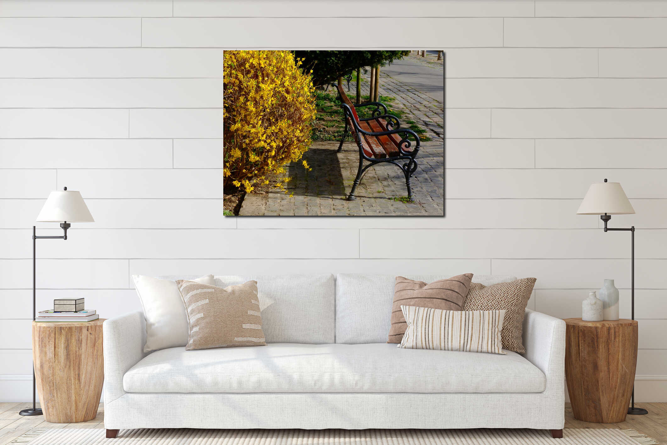 Bright yellow blooming spring golden rain bush and empty wooden bench. Coronavirus concept. interior mockup