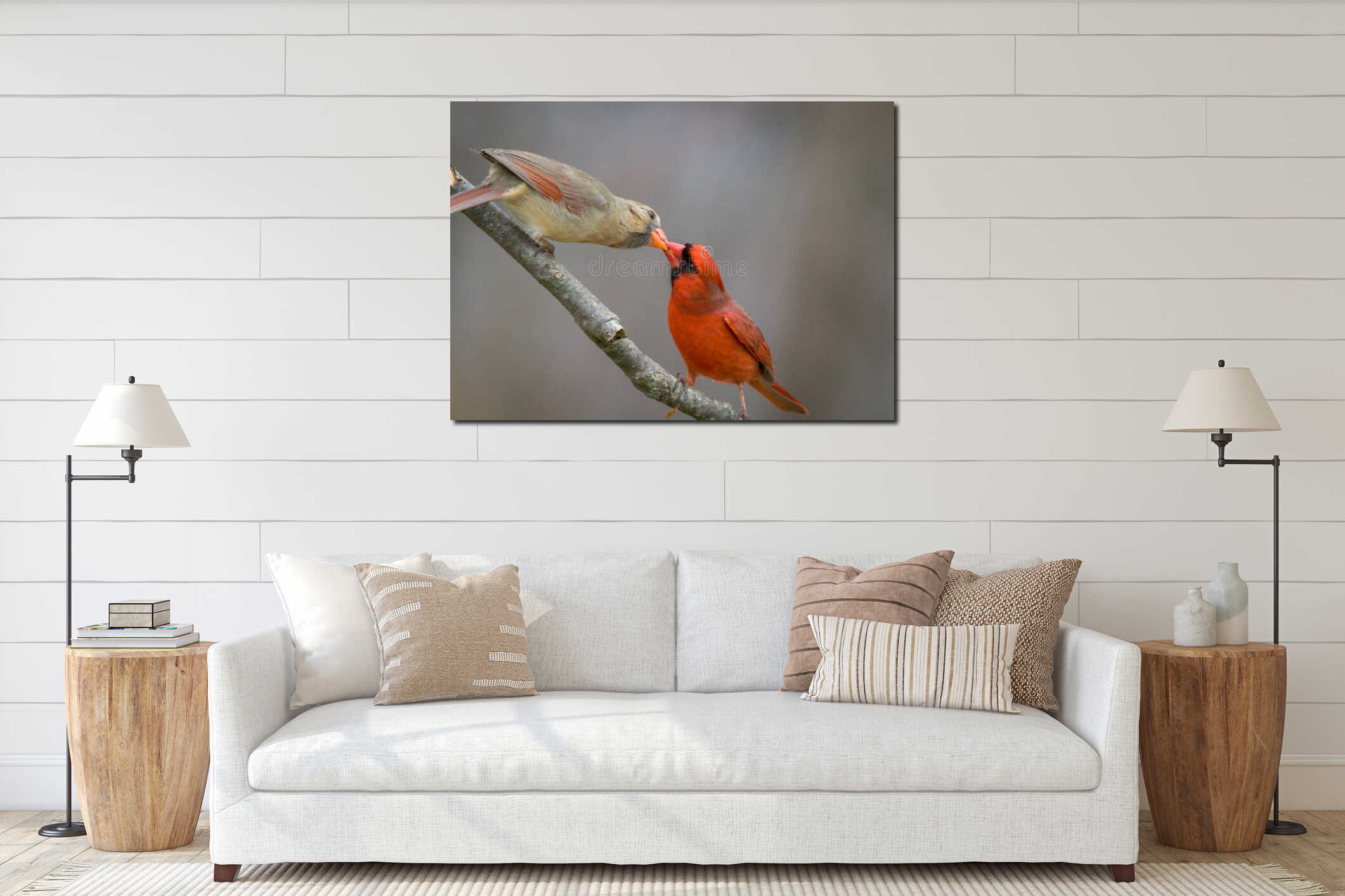 Northern Cardinal pair, male feeding female mate in spring interior mockup