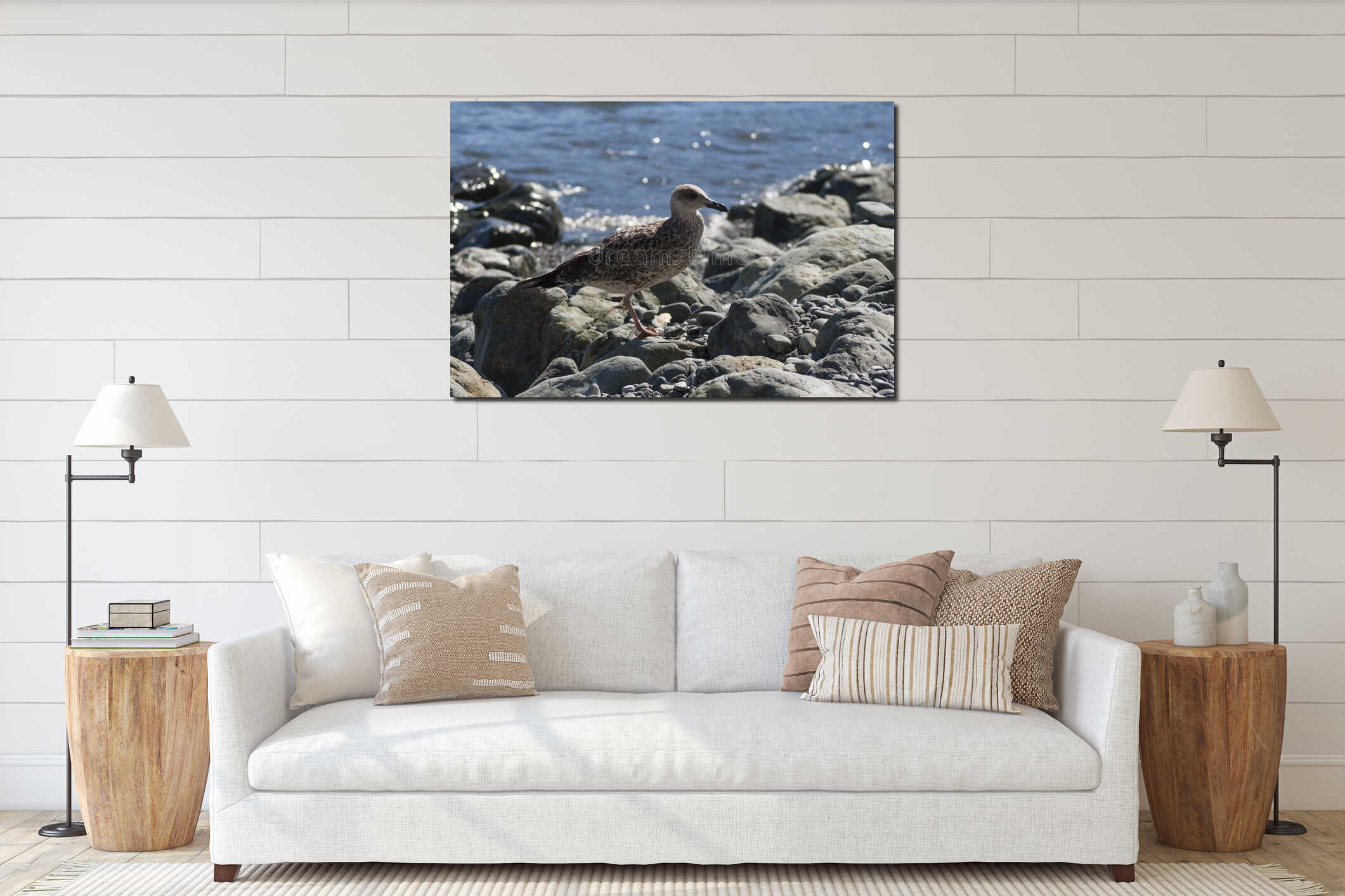 Young seagull photographed on a splendid beach on the island of Elba, Tuscany interior mockup