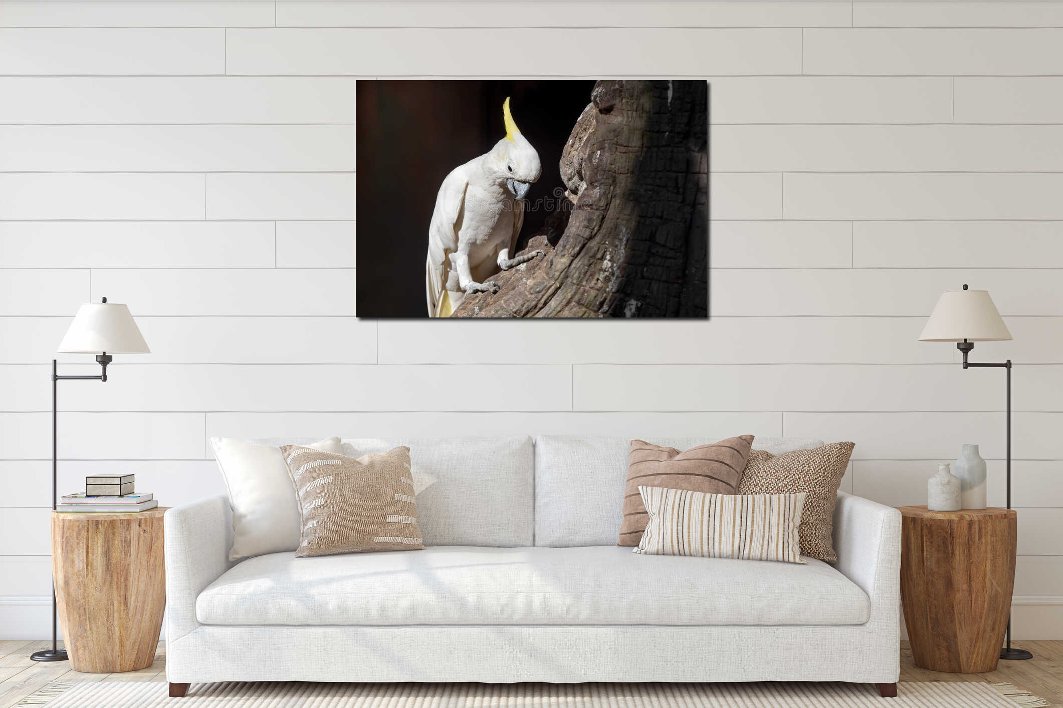Close up Yellow Crested Cockatoo Perched on Branch Isolated on Background interior mockup
