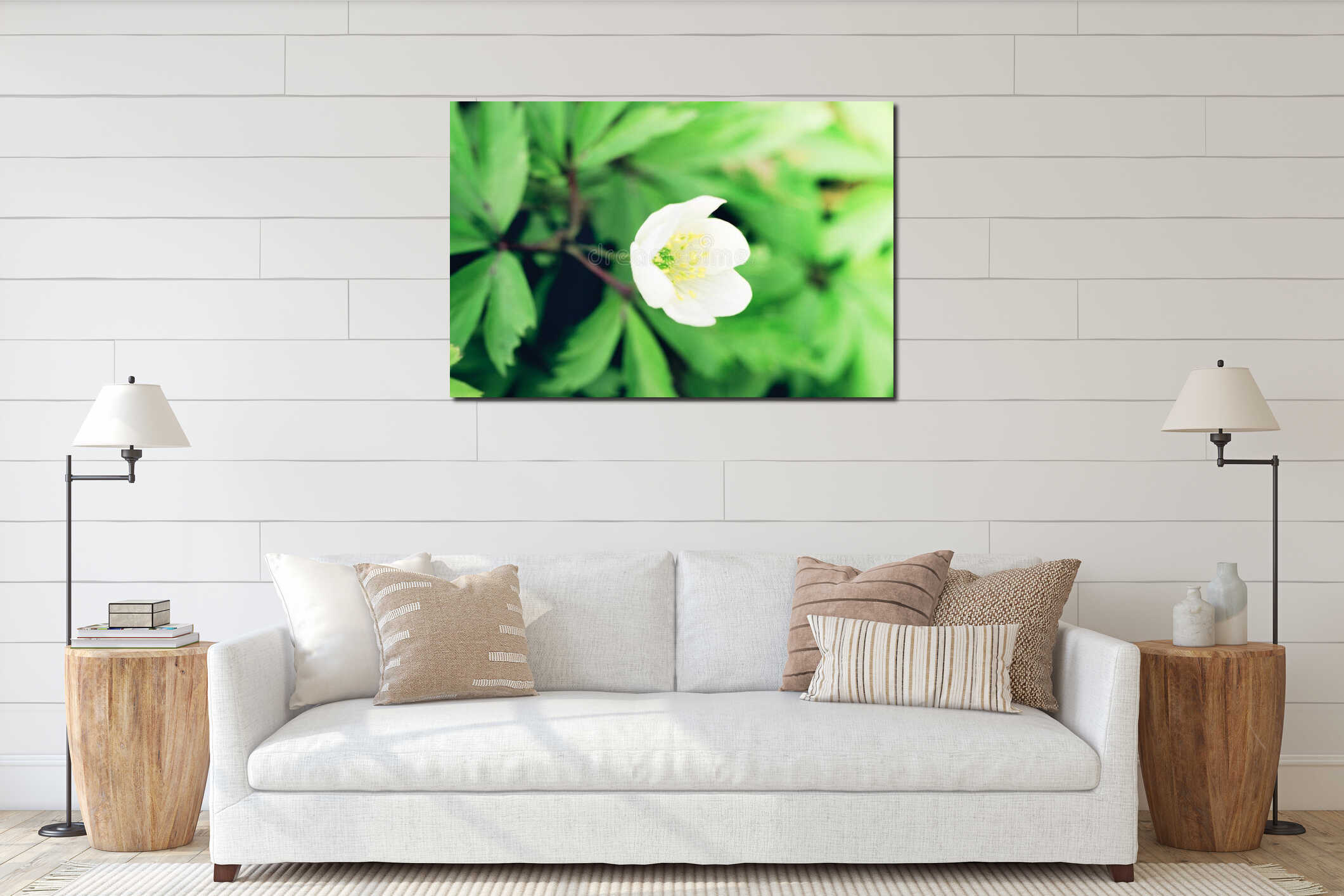 White Anemone sylvestris blossoming on green blurry bokeh background. Snowdrop anemone is a perennial plant flowering in spring in interior mockup