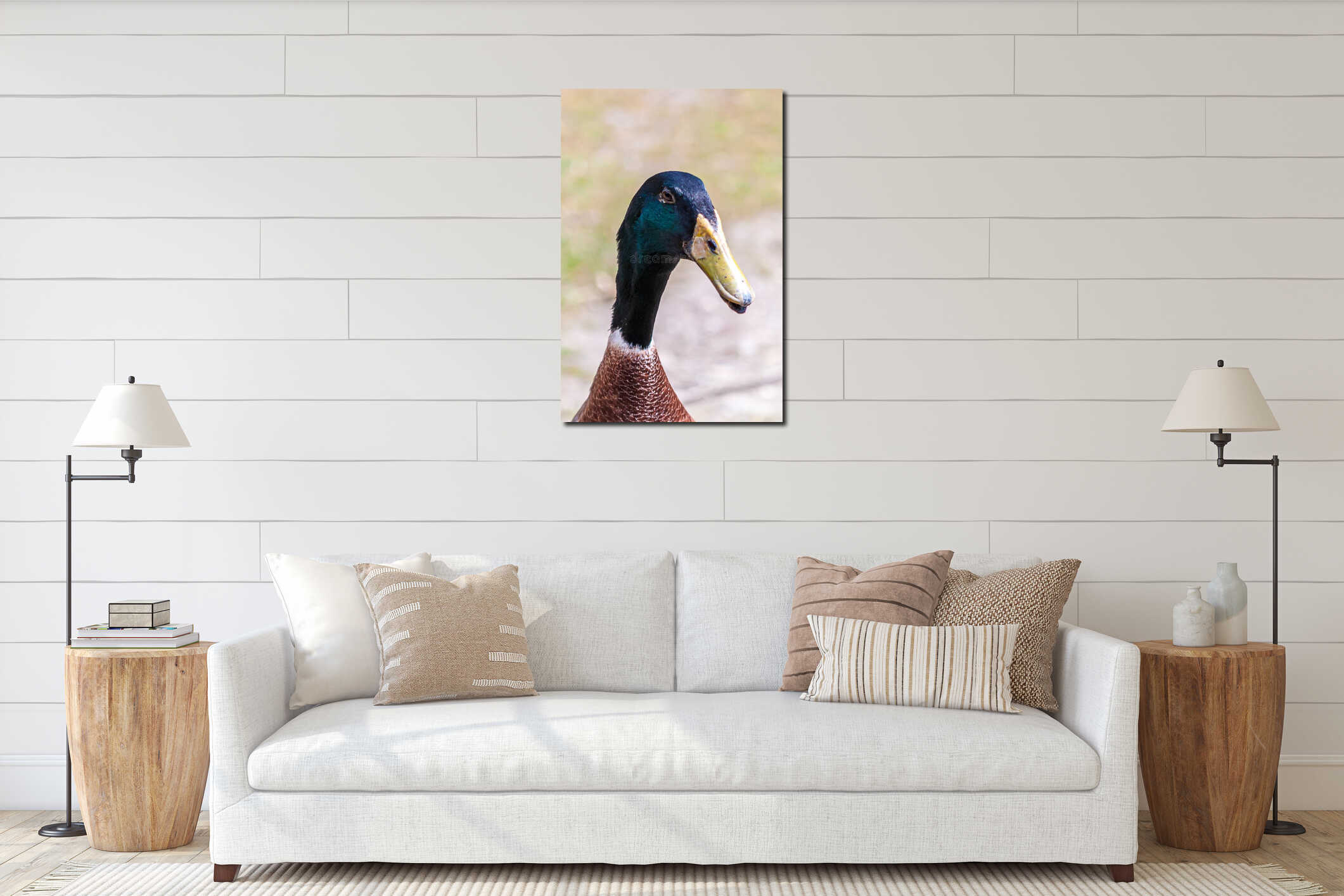 Vertical closeup shot of a male mallard under the sunlight interior mockup