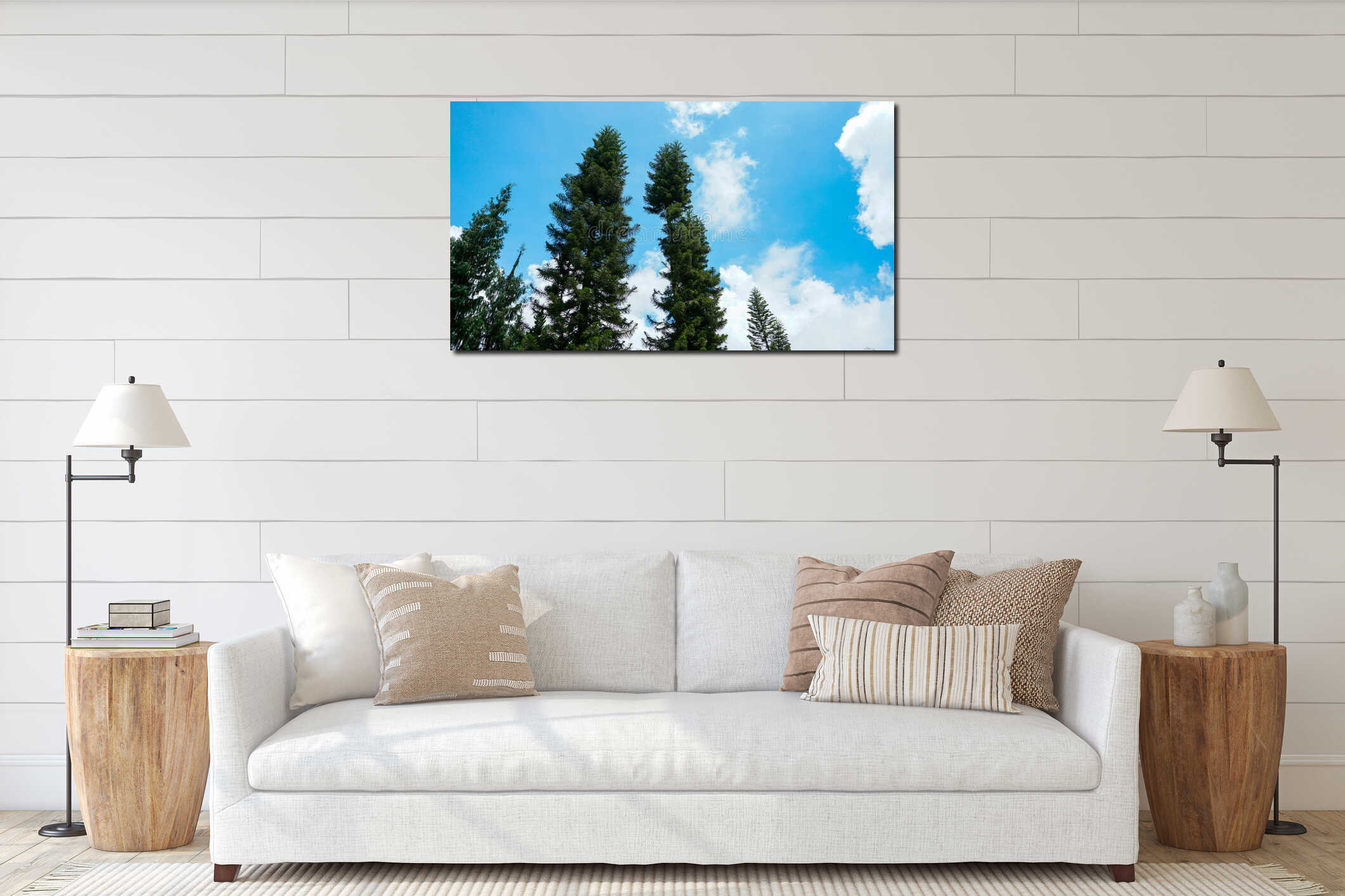 Low angle pine tree with sky background interior mockup
