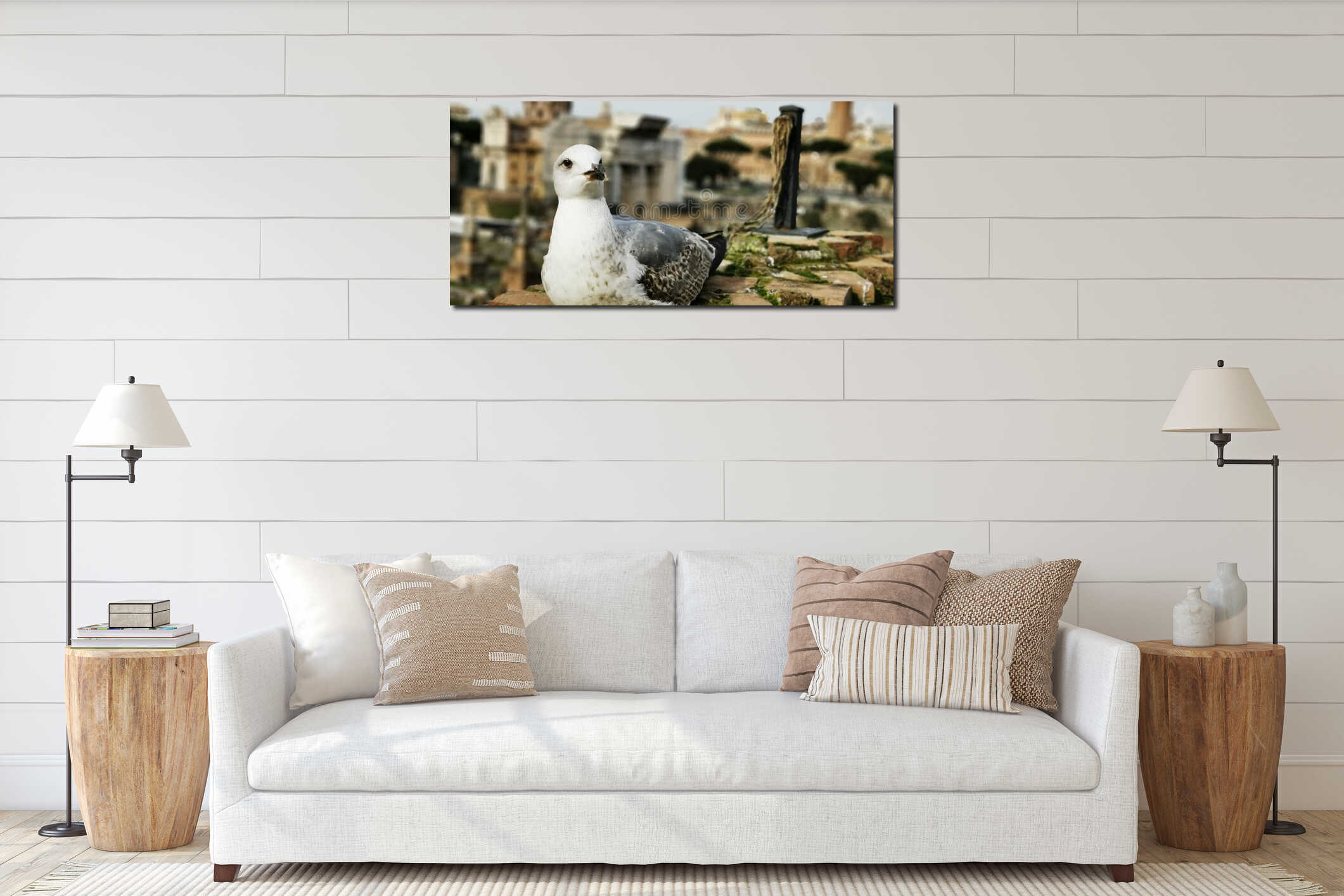 Seagull sitting on a stone wall in Rome interior mockup