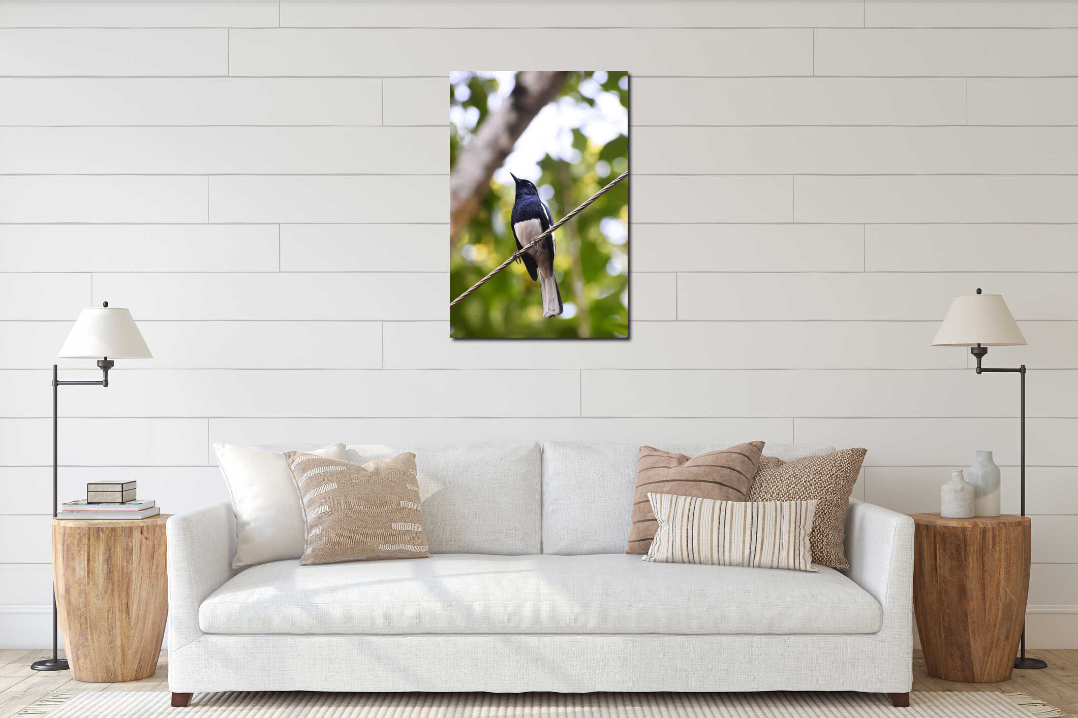 Closeup shot of a oriental magpie-robin interior mockup