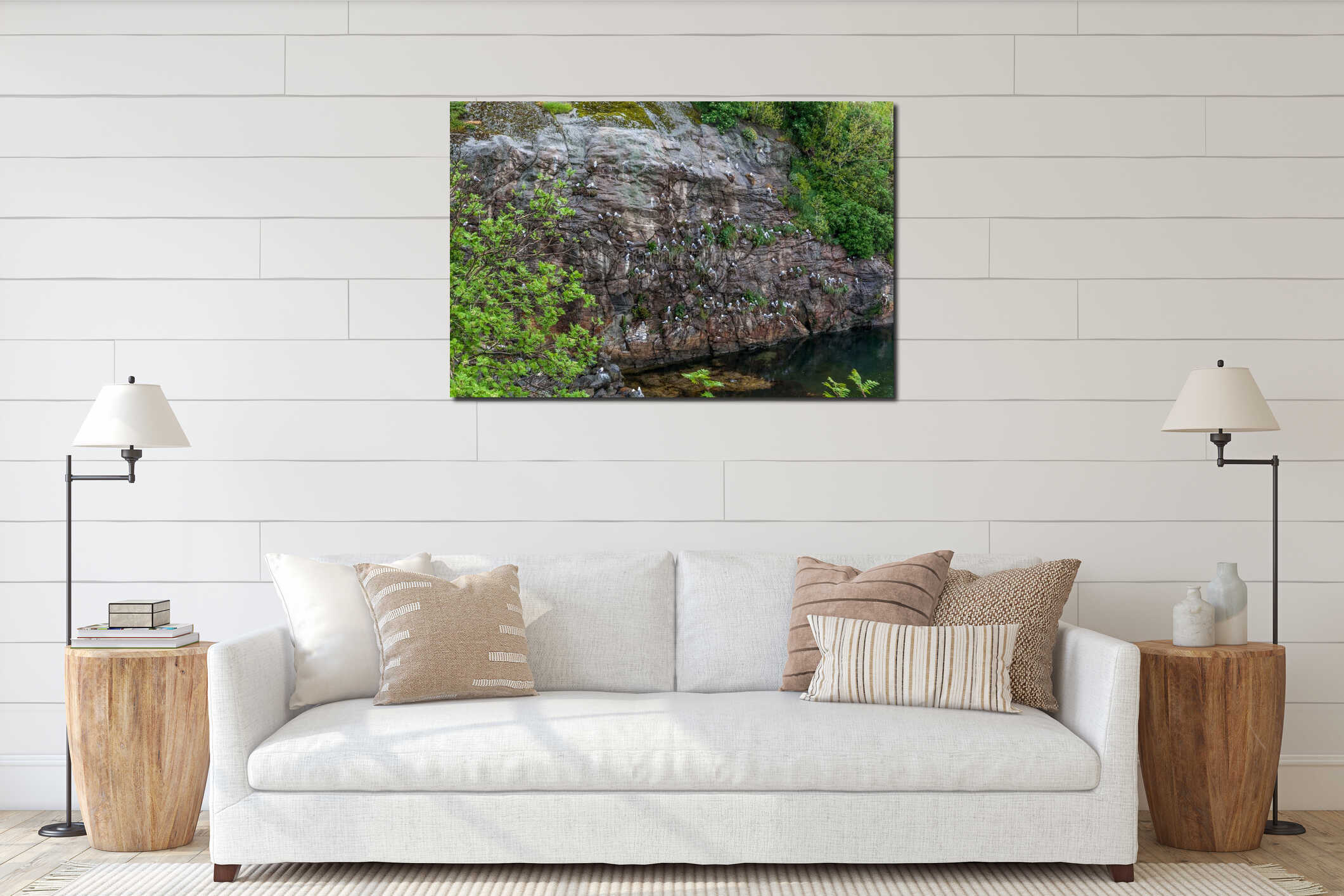 Flock of seagulls on cliff on Lofoten islands, selective focus interior mockup