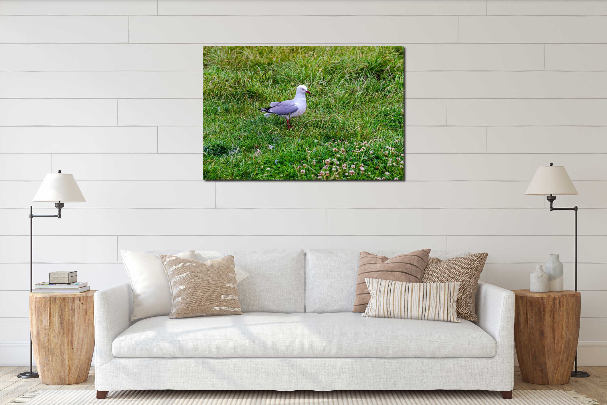 A seagull sits on the shore. Pacific coast. Katiki point. South Island, New Zealand interior mockup