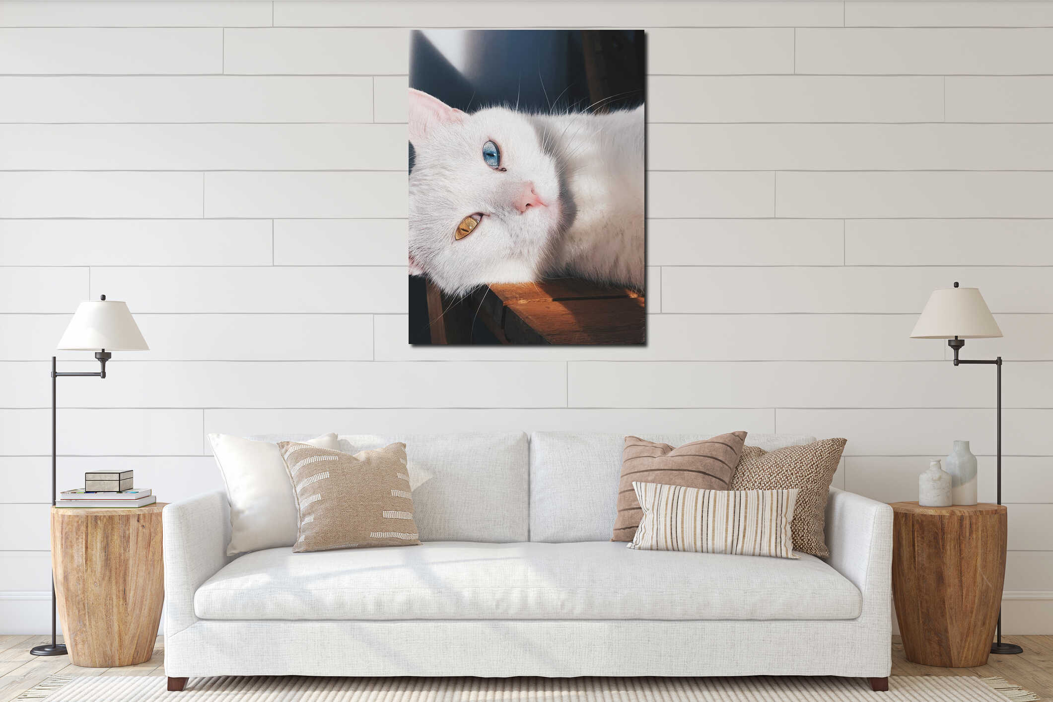 Vertical closeup shot of a Turkish Van cat looking in a straight direction interior mockup