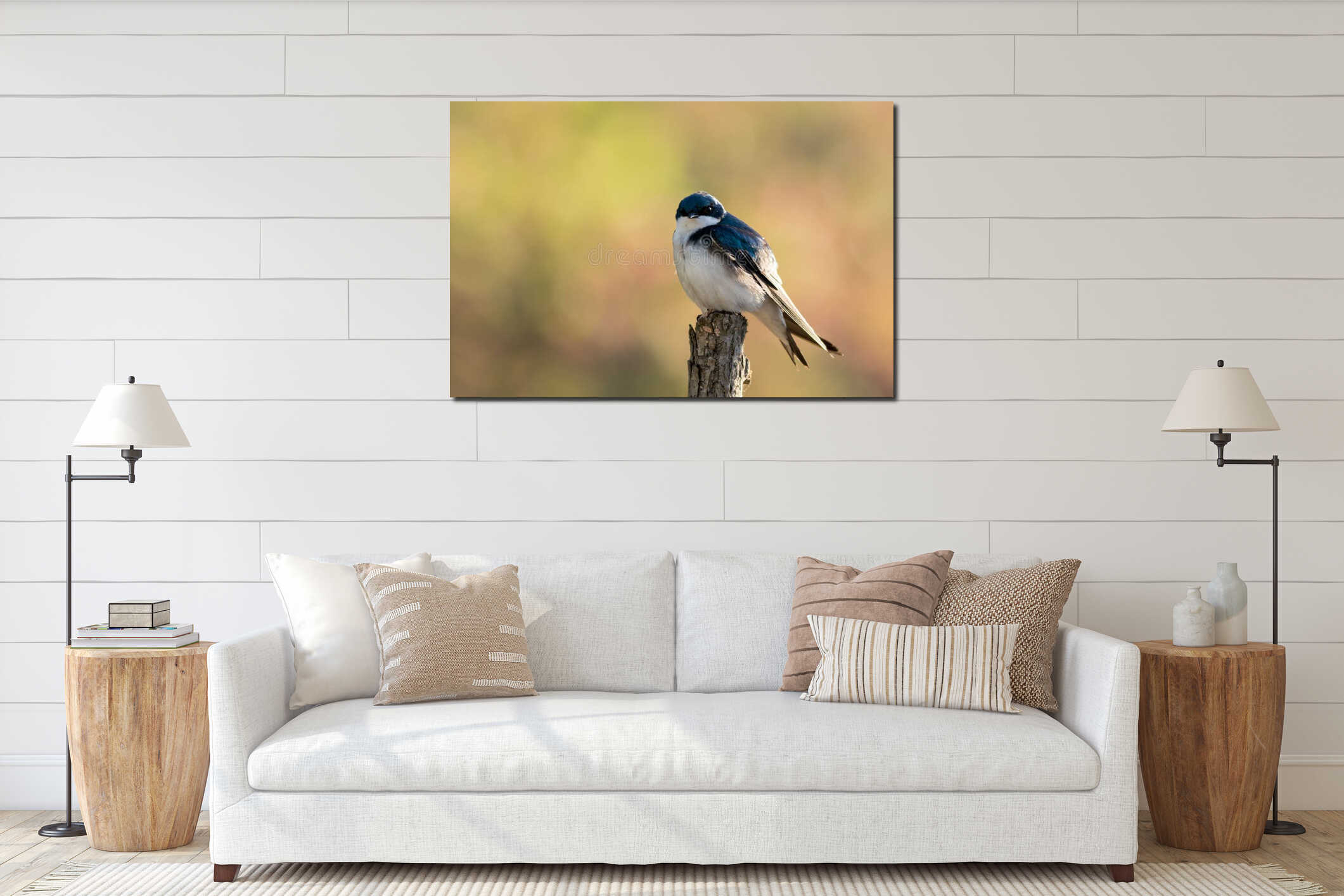 Tree Swallow perched on branch in beautiful morning light and fog interior mockup