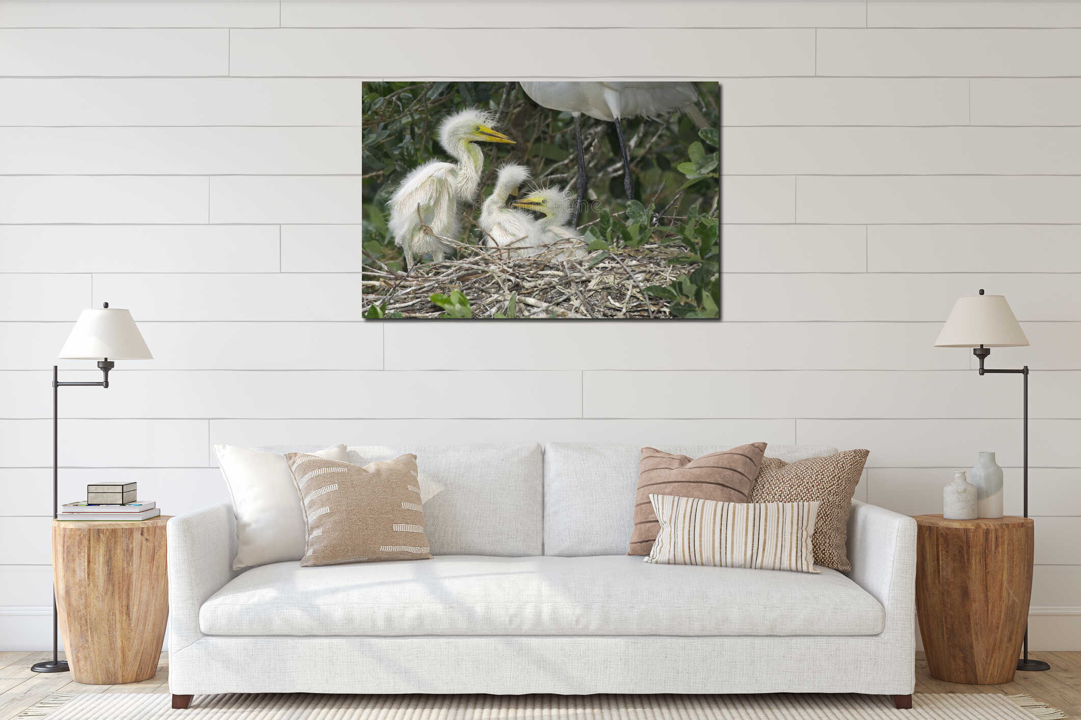 Great Egret, Ardea alba interior mockup