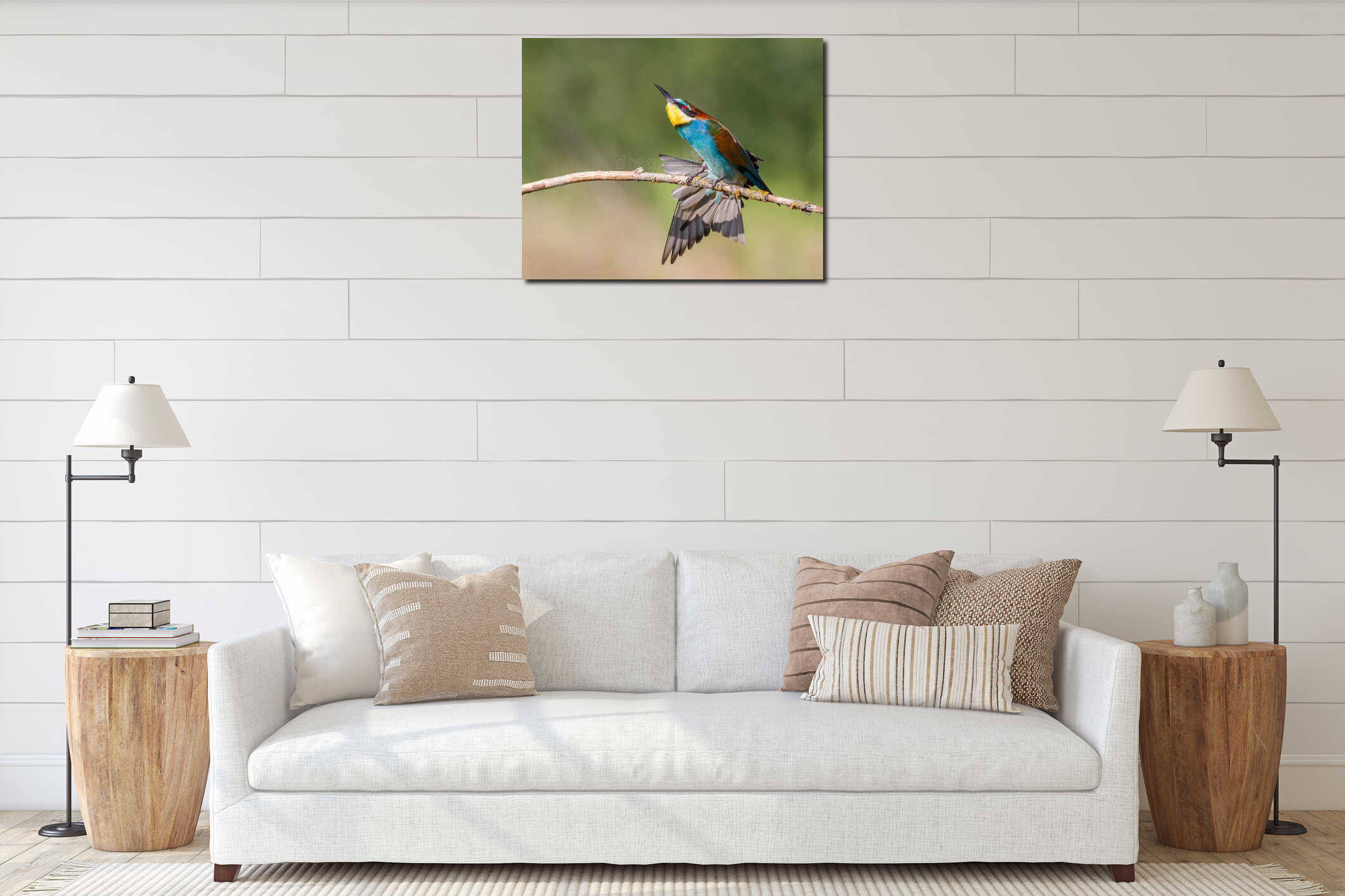 European bee-eater, merops apiaster. An early morning bird sits on a dry branch. Bird stretches wings interior mockup