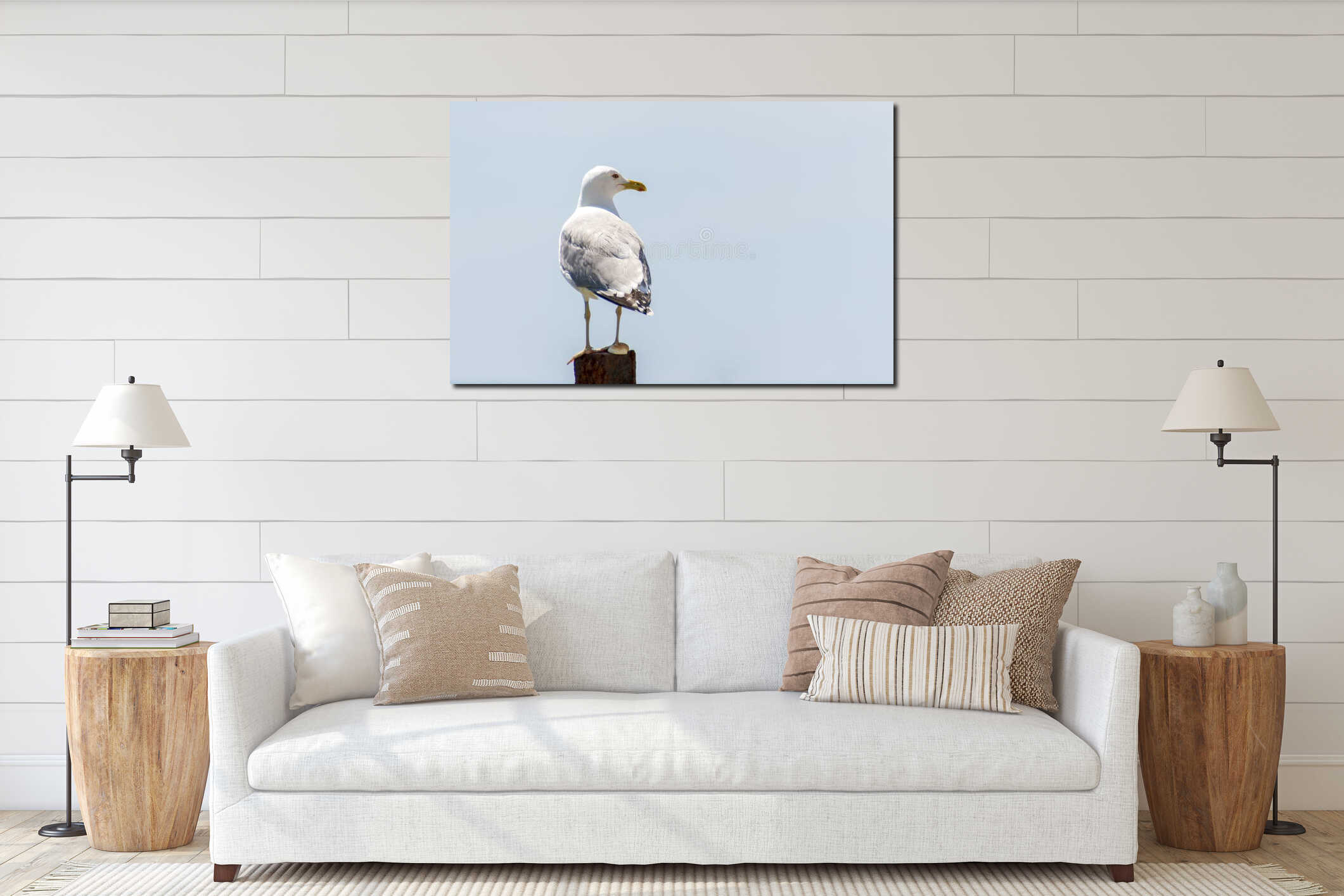 The seagull sits on a iron fence. Wings of a bird. Sea bird. interior mockup