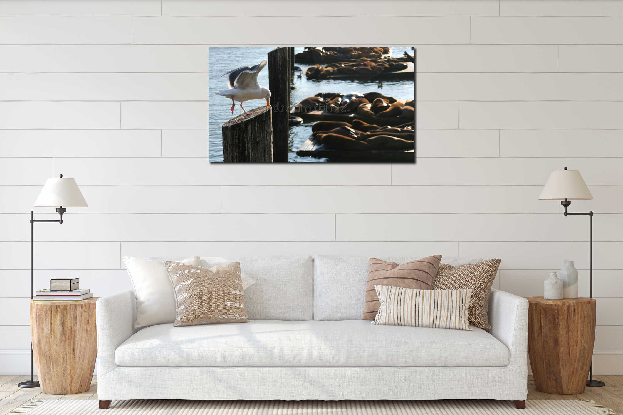 Seagull and blur sea lion at Pier 39 interior mockup
