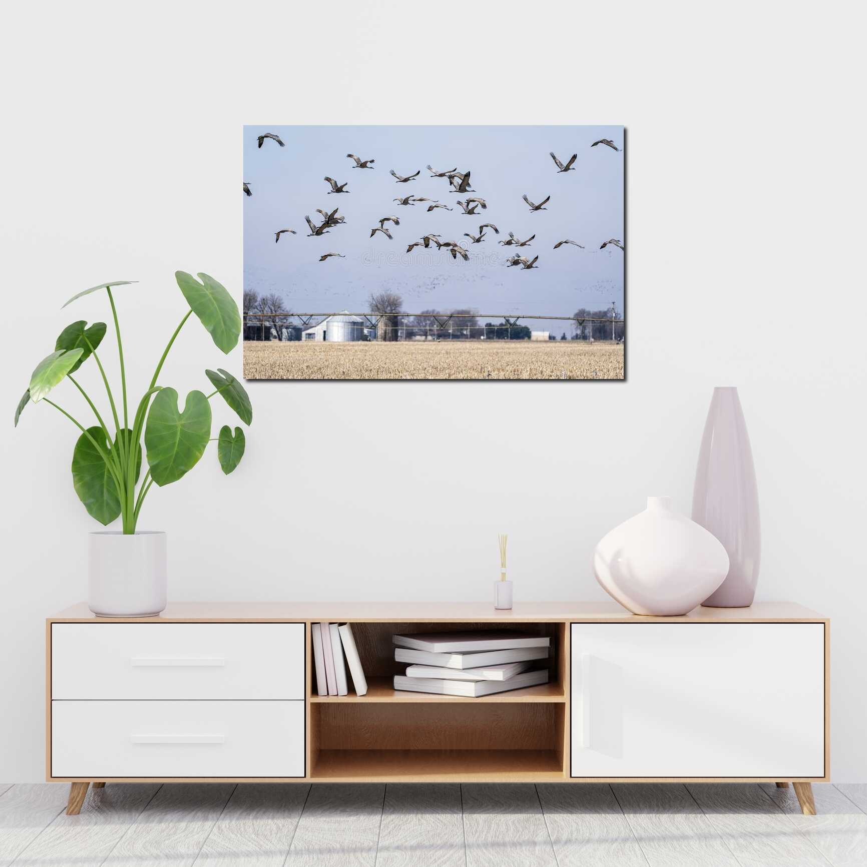 Canvas above sofa for size context