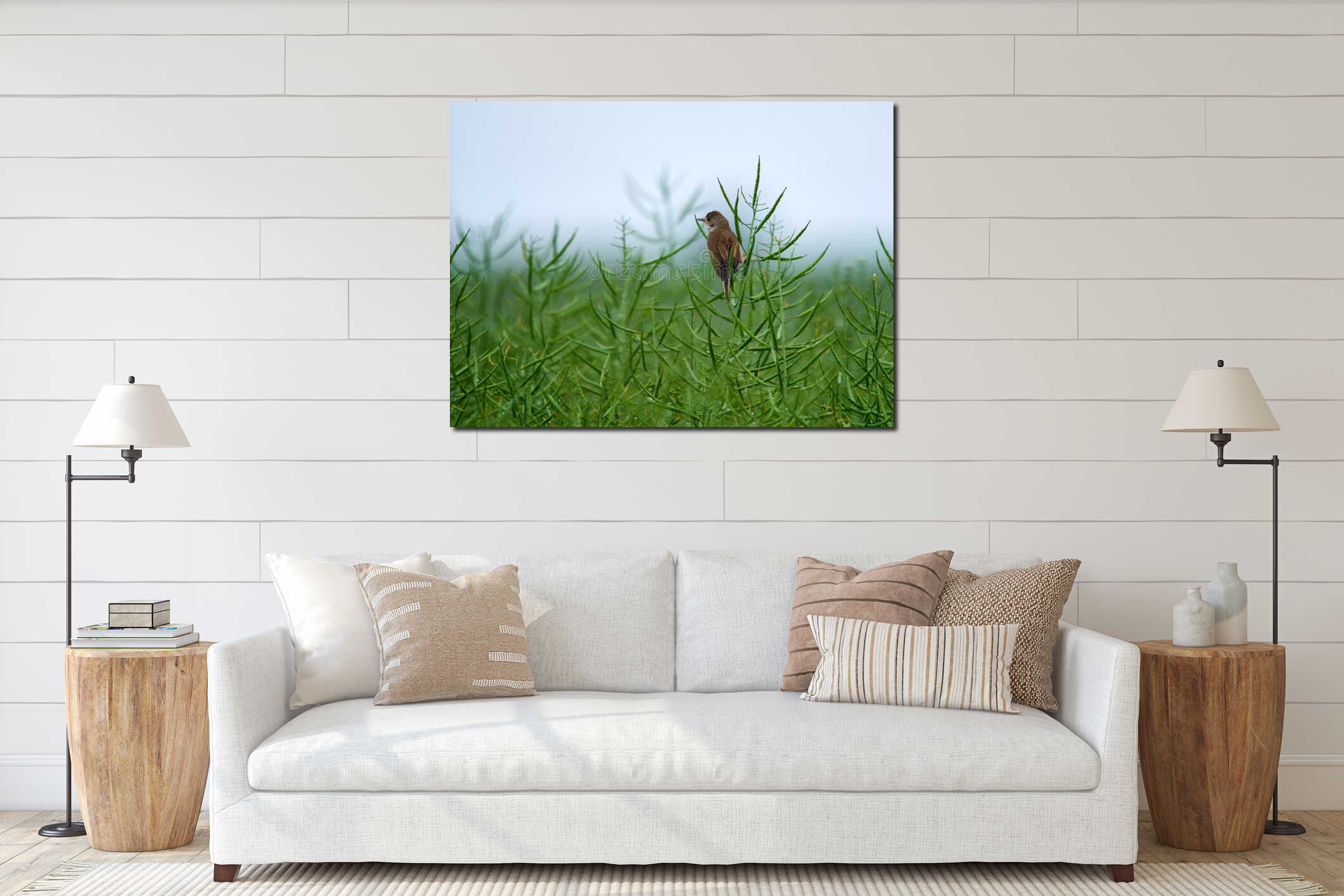 Woodlark perched in a rape field interior mockup
