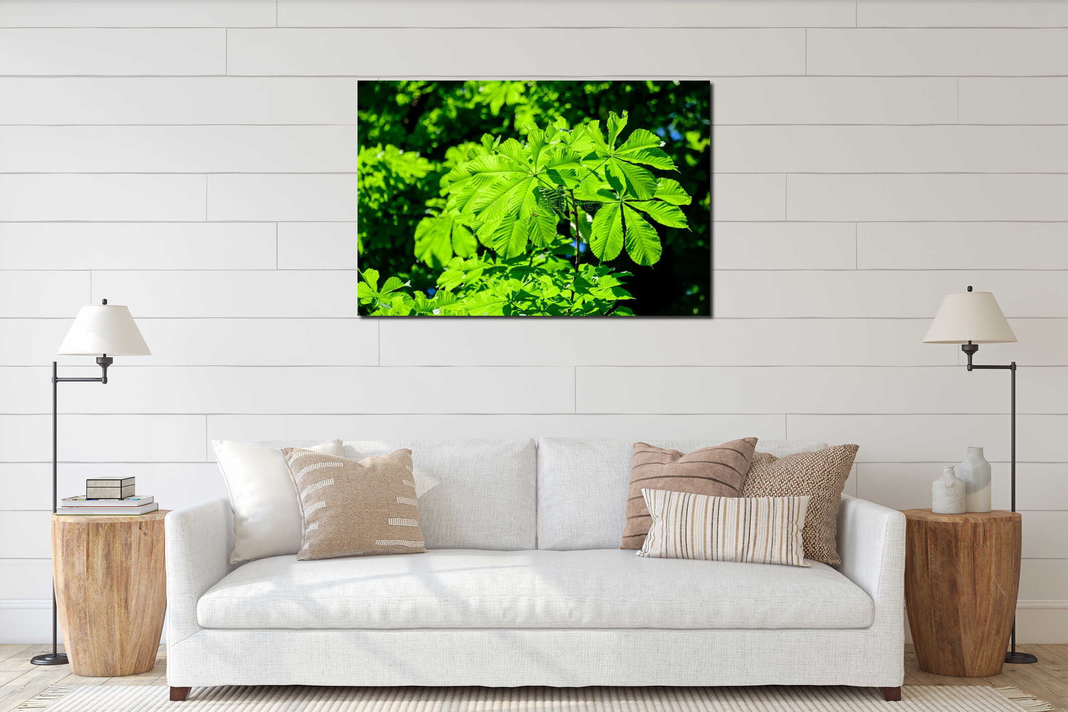 Branch with many fresh large green chestnut leaves in a garden in a sunny spring day, beautiful outdoor monochrome background interior mockup