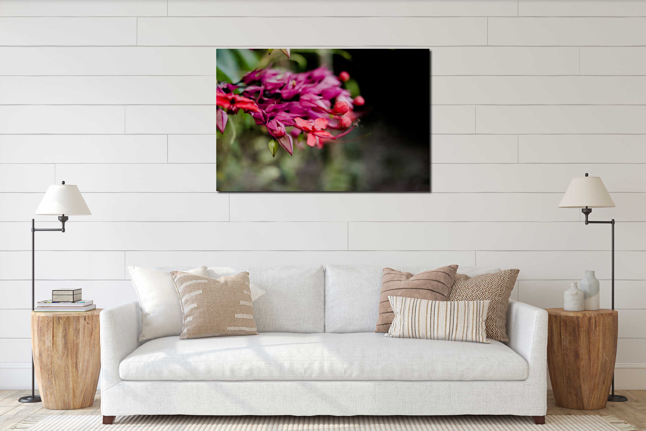 Red peacock flower or Caesalpinia pulcherrima flower blooming isolated, interior mockup