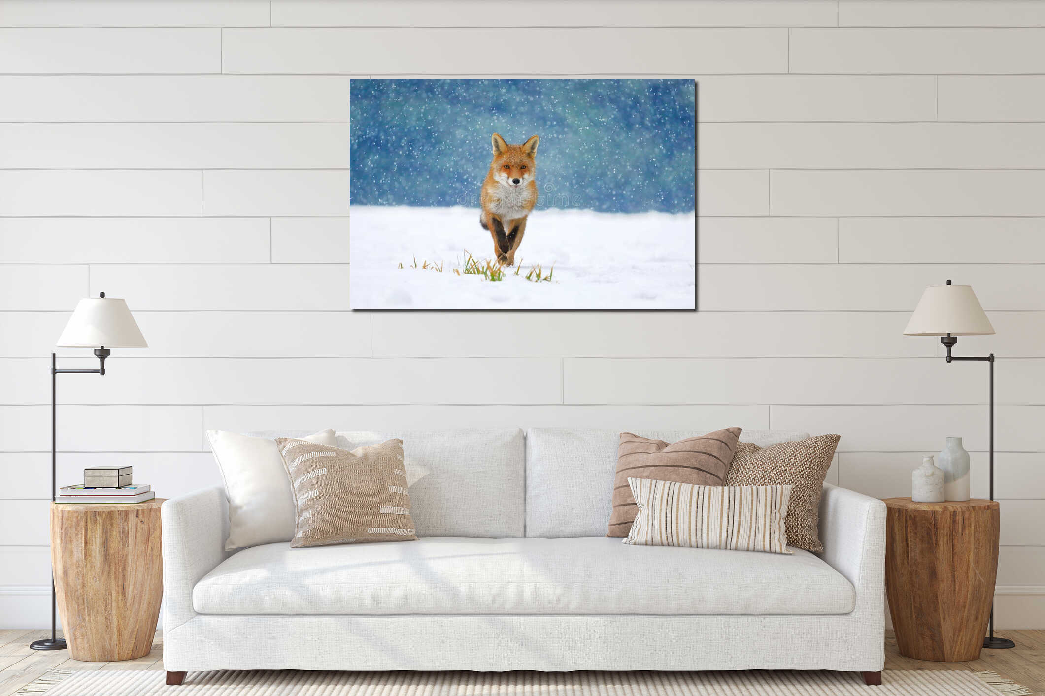 Red fox Vulpes vulpes on winter forest meadow in snowfall. Orange fur coat animal hunting in snow. Fox in winter nature. interior mockup