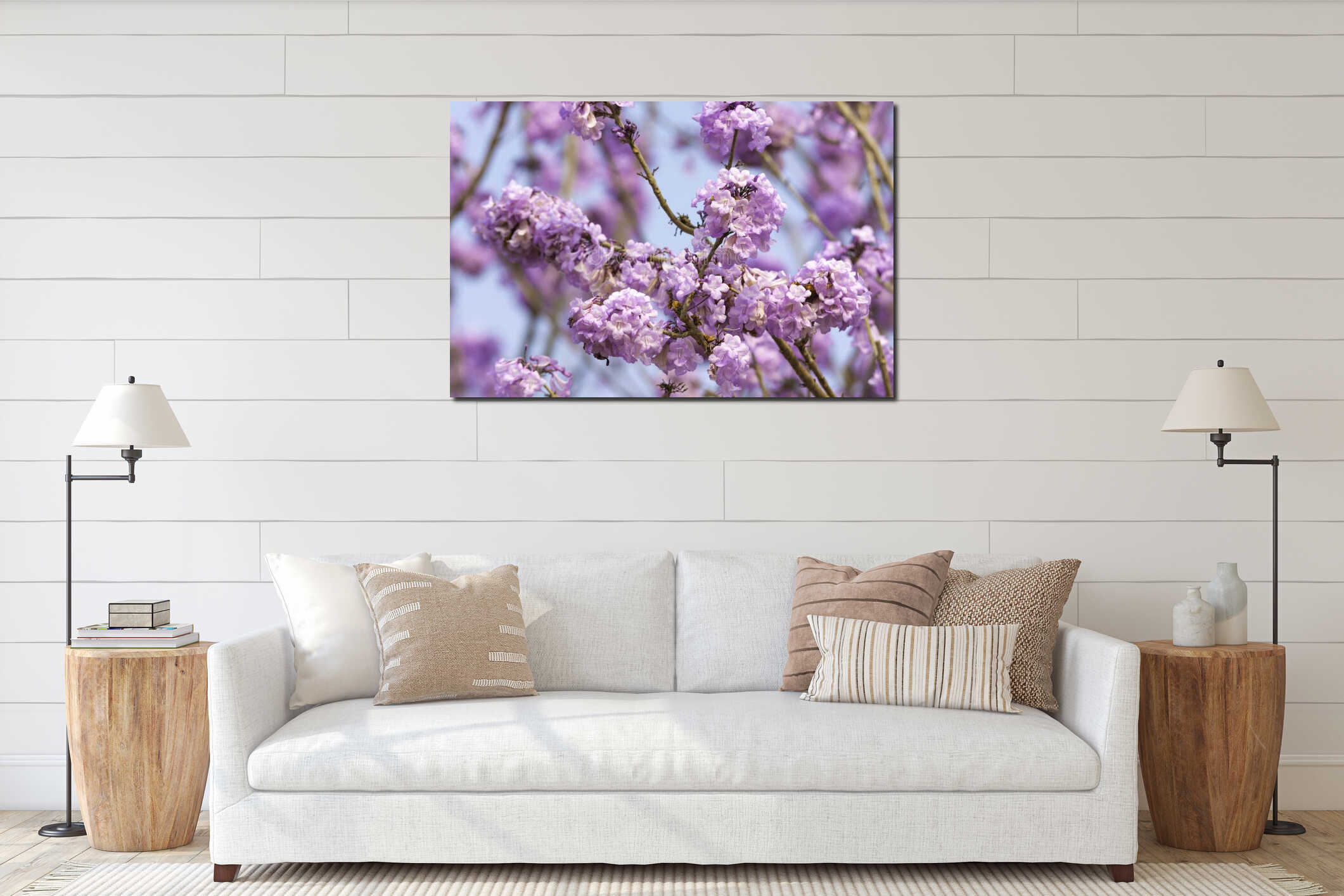 Beautiful Jacaranda obtusifolia flowers blooming in the garden interior mockup
